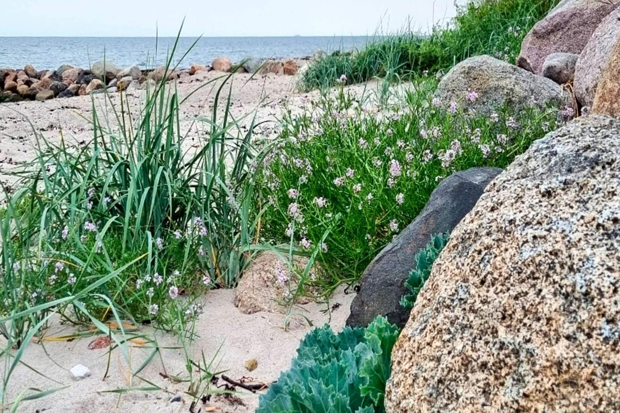 Maison de vacances pour 10 a Slagelse-Vue sur l'eau