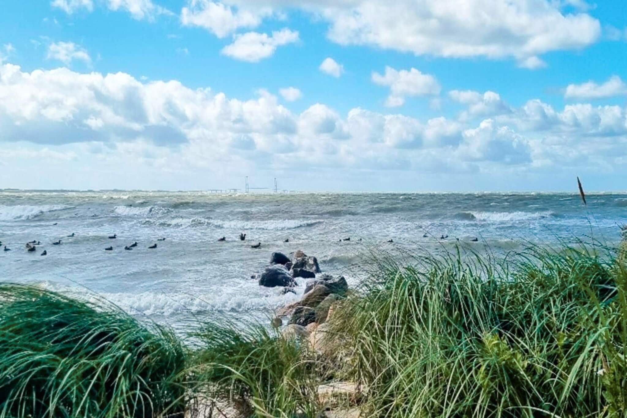 Maison de vacances pour 10 a Slagelse-Vue sur l'eau