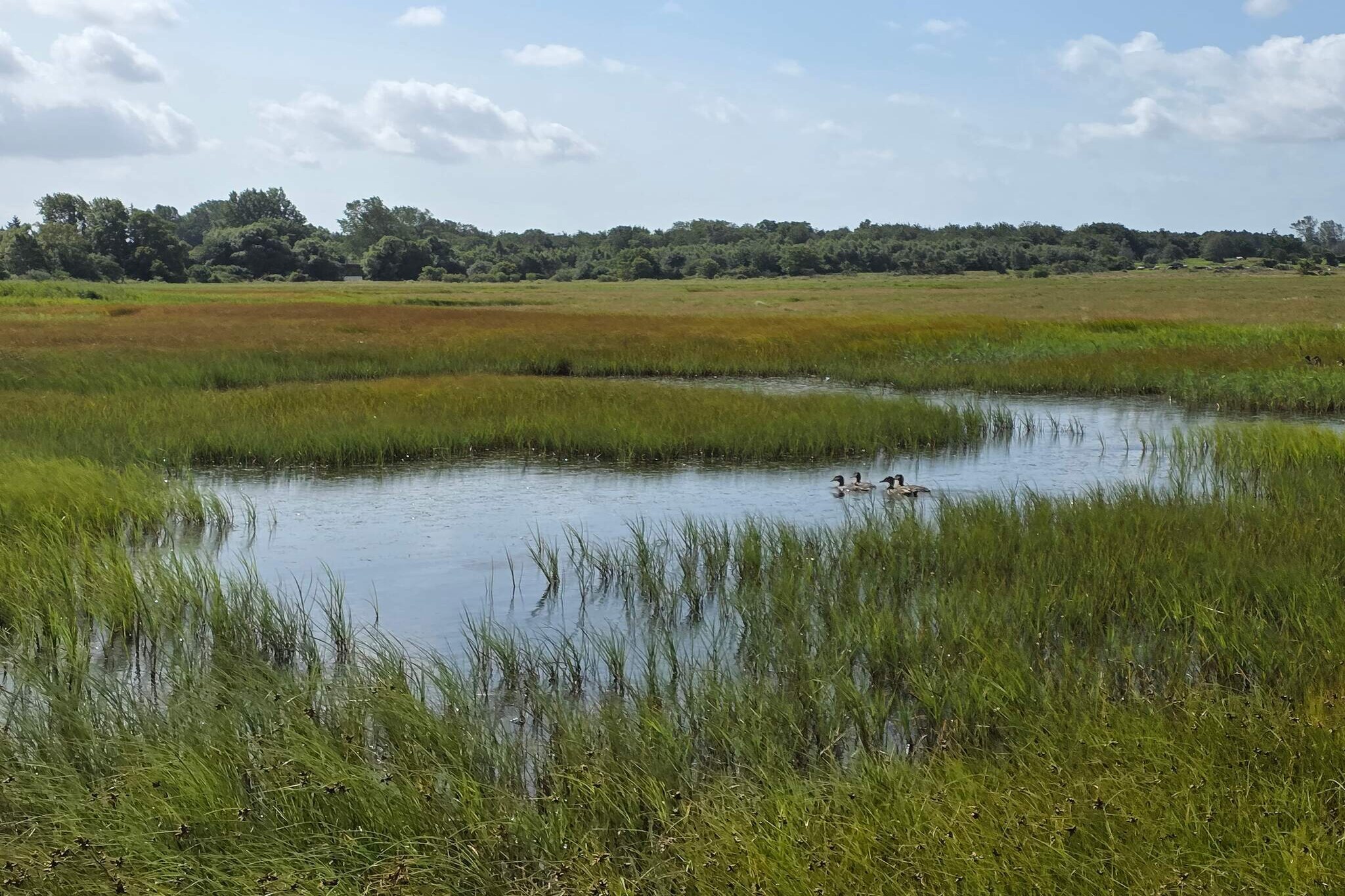 Rustig toevluchtsoord in Rageleje-By Traum-Waterzicht