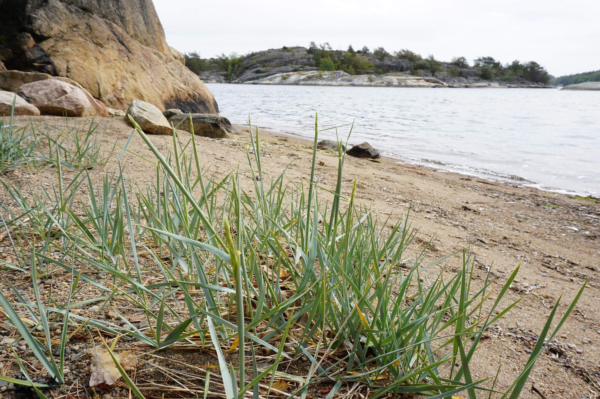 7 persoons vakantie huis in STRÖMSTAD-Niet-getagd