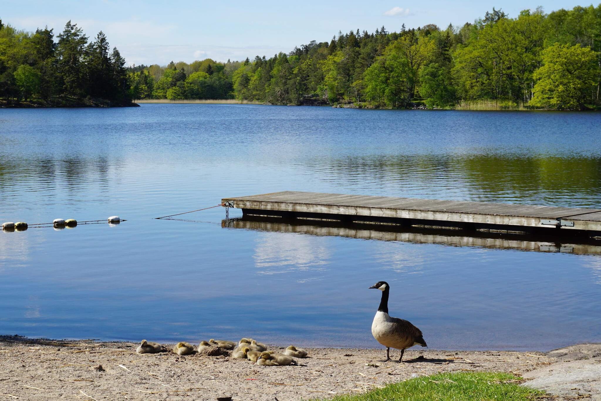 5 persoons vakantie huis in TYRESÖ-Niet-getagd