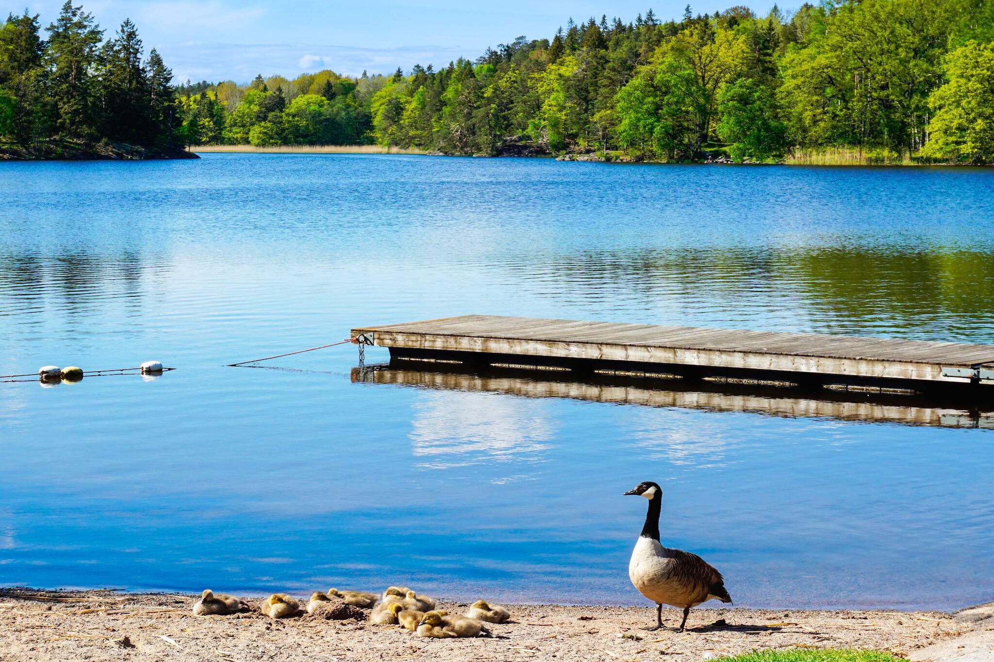 5 person holiday home in TYRESÖ-Not tagged