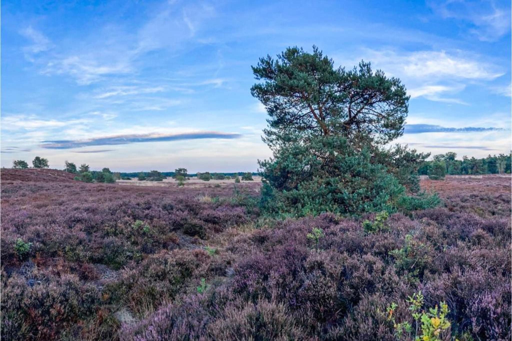 Huisje Putten-Gebiete Sommer 20 km
