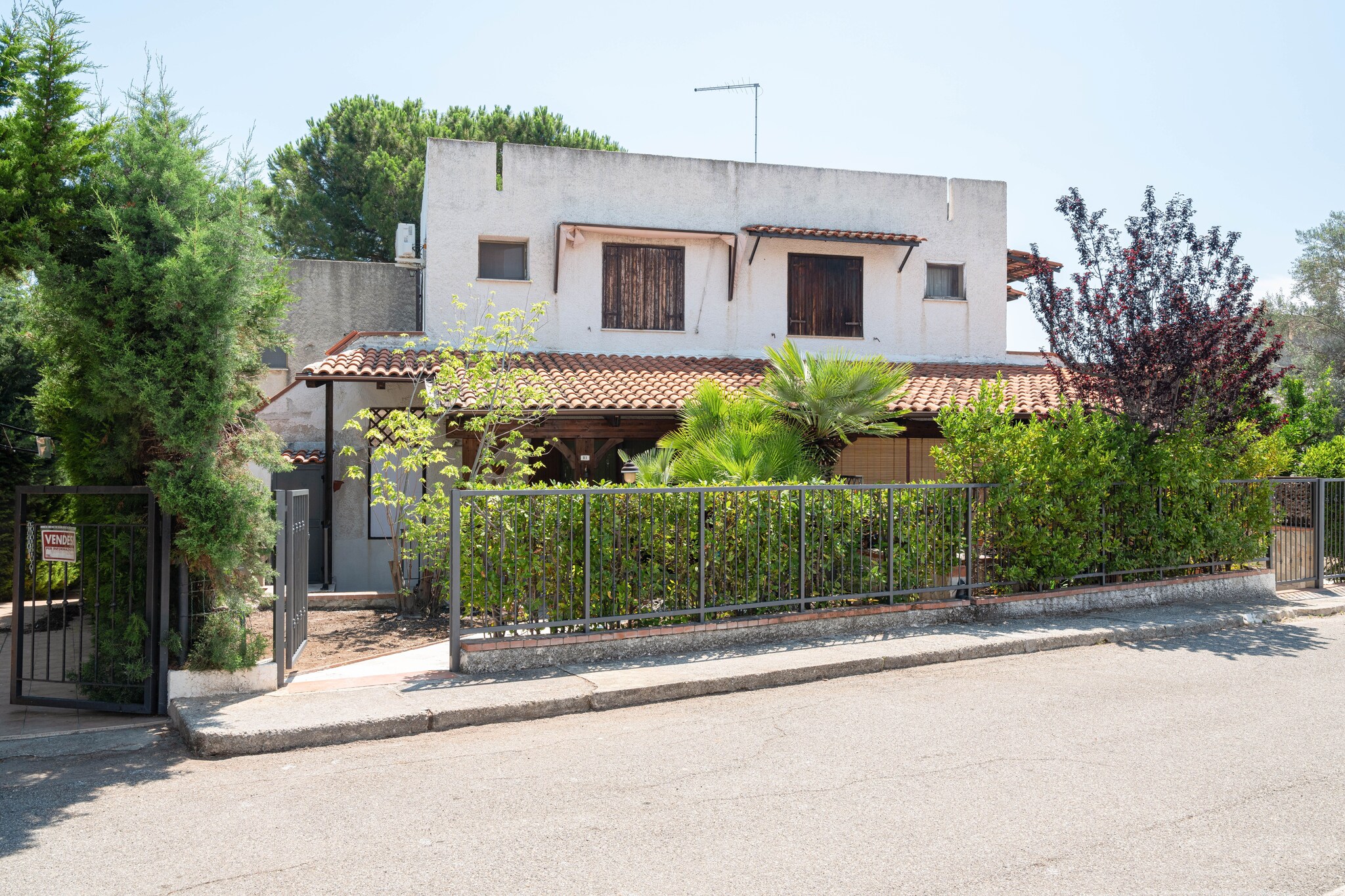 Exterior Summer