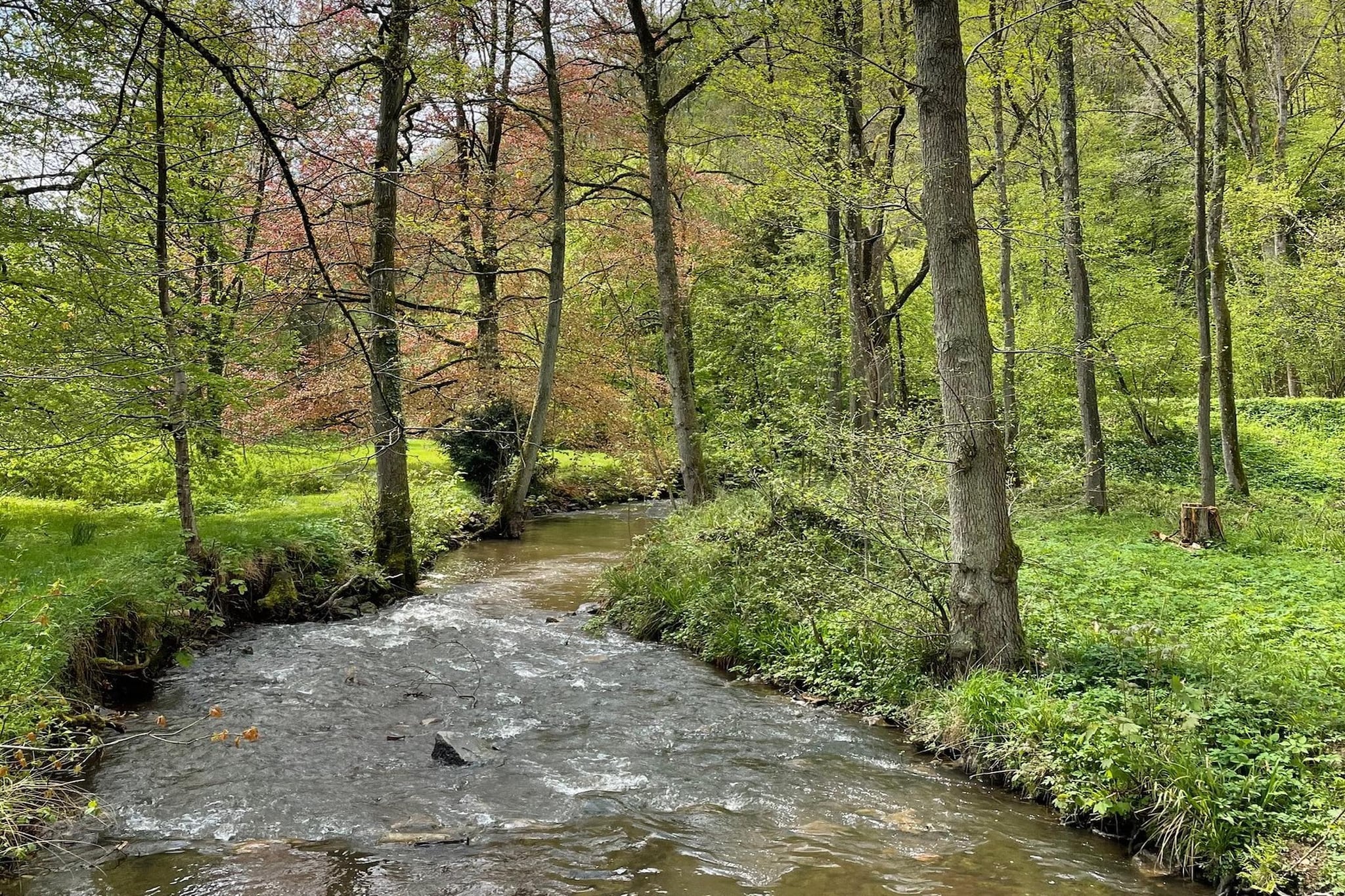 Château de Férot-Gebiete Sommer 20 km