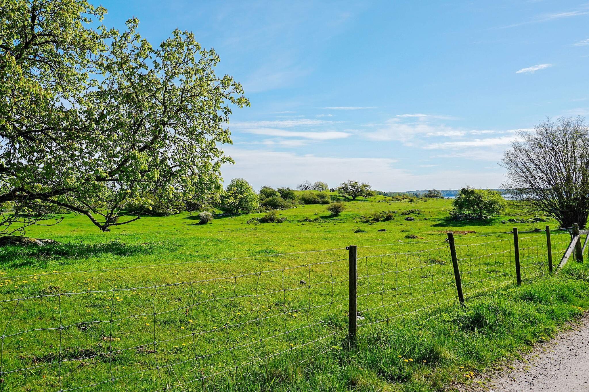 Sereen kusttoevluchtsoord in Adelso-By Traum
