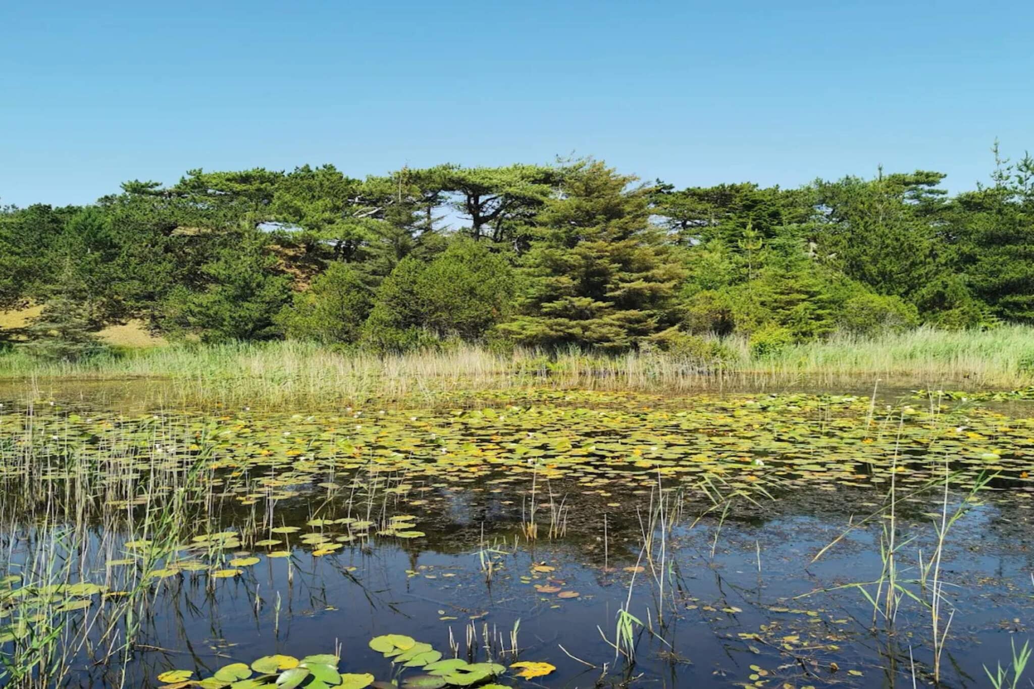 4 person holiday home in Fanø