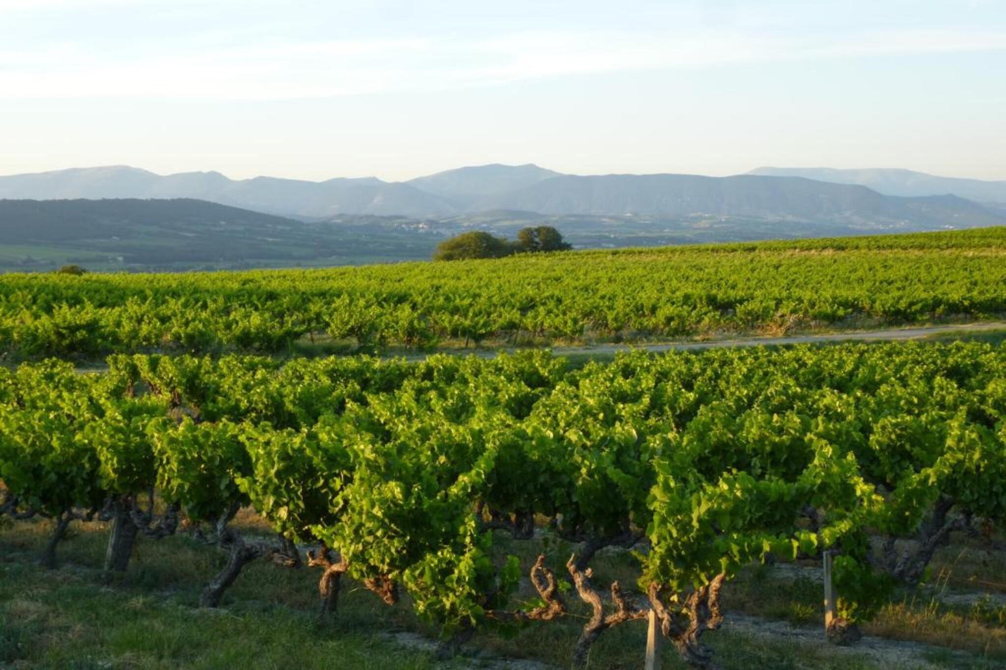 Appartement Geny Avignon-Zones d'été à 20 km