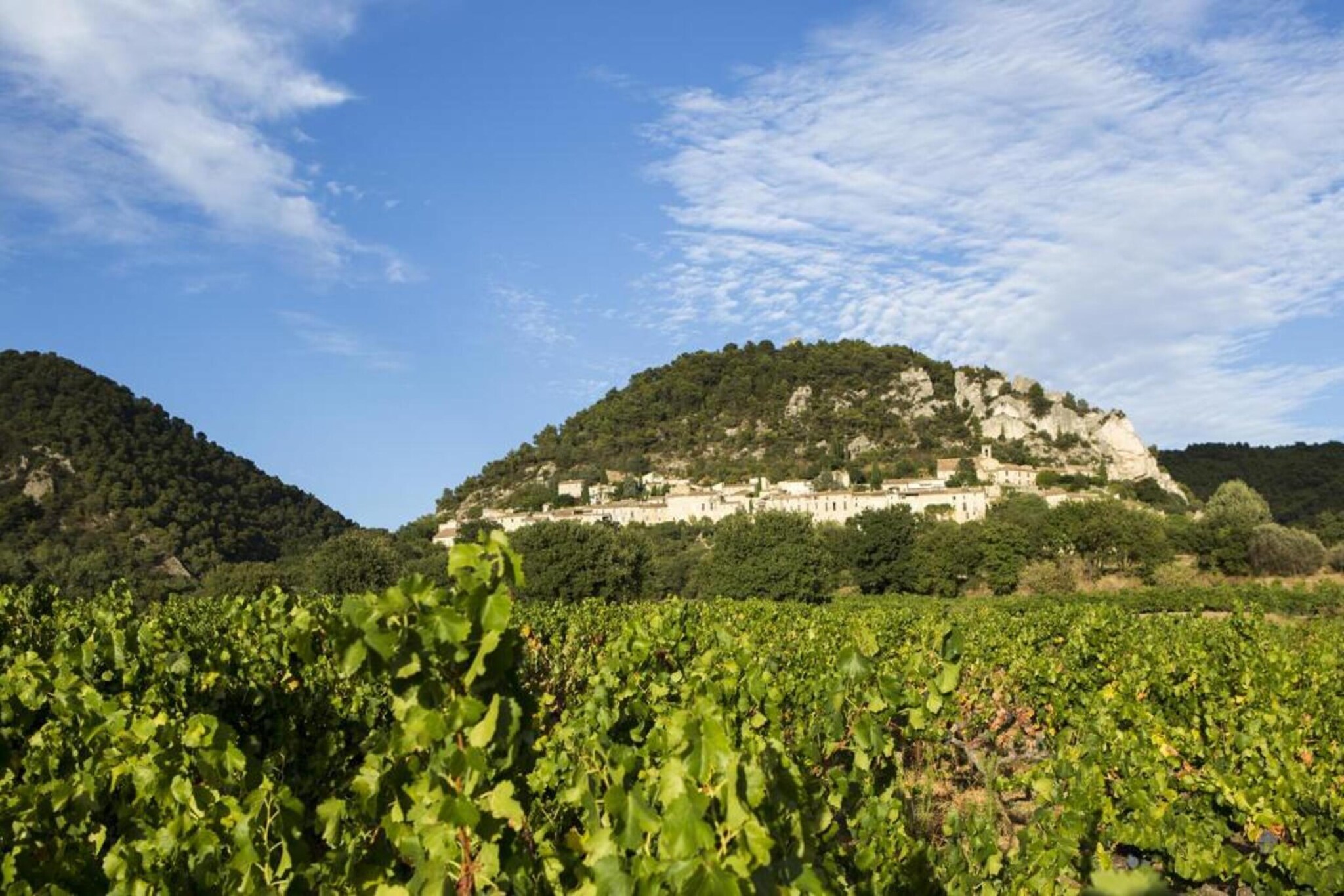 Appartement Geny Avignon-Zones d'été à 20 km