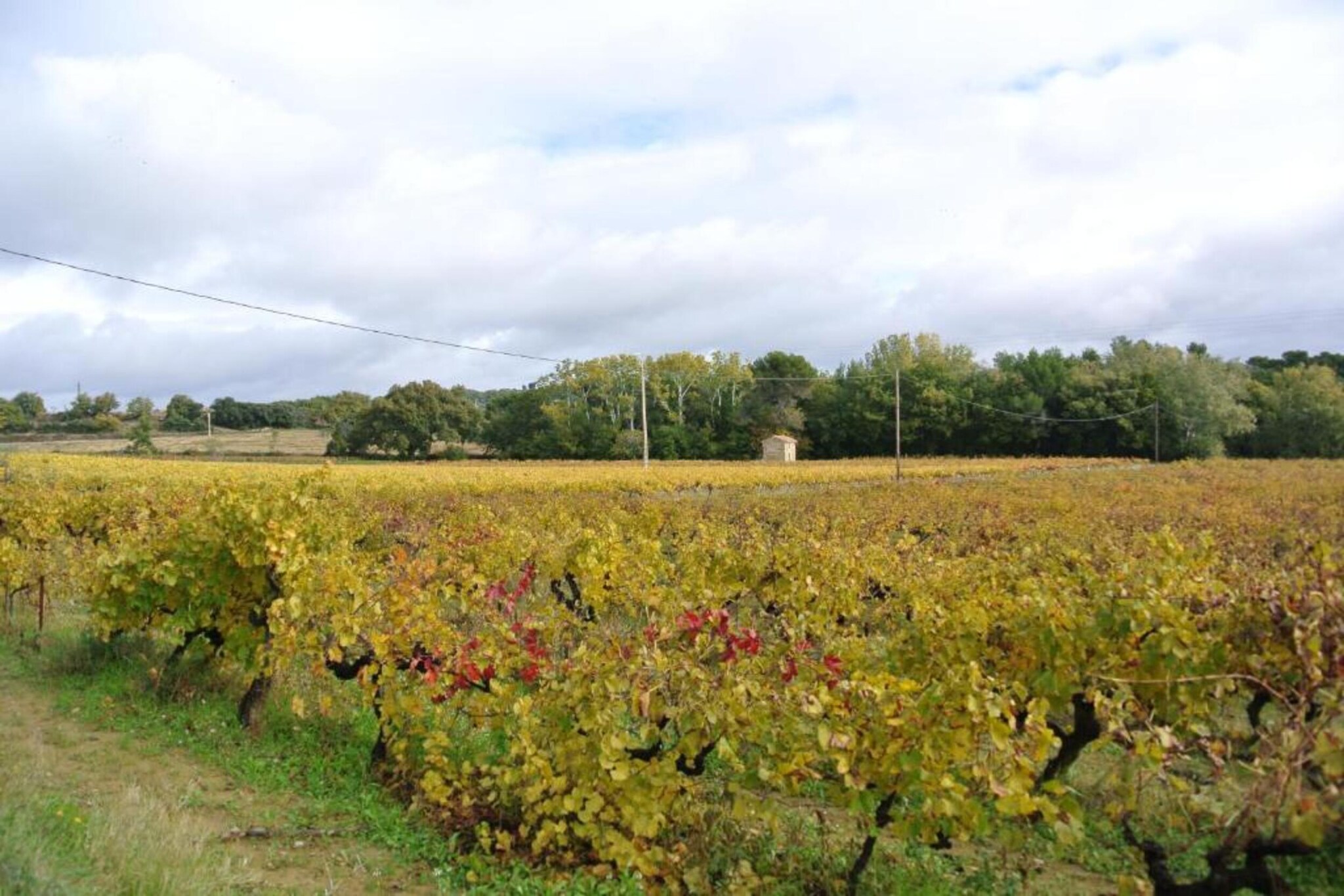 Appartement Geny Avignon-Zones d'été à 20 km