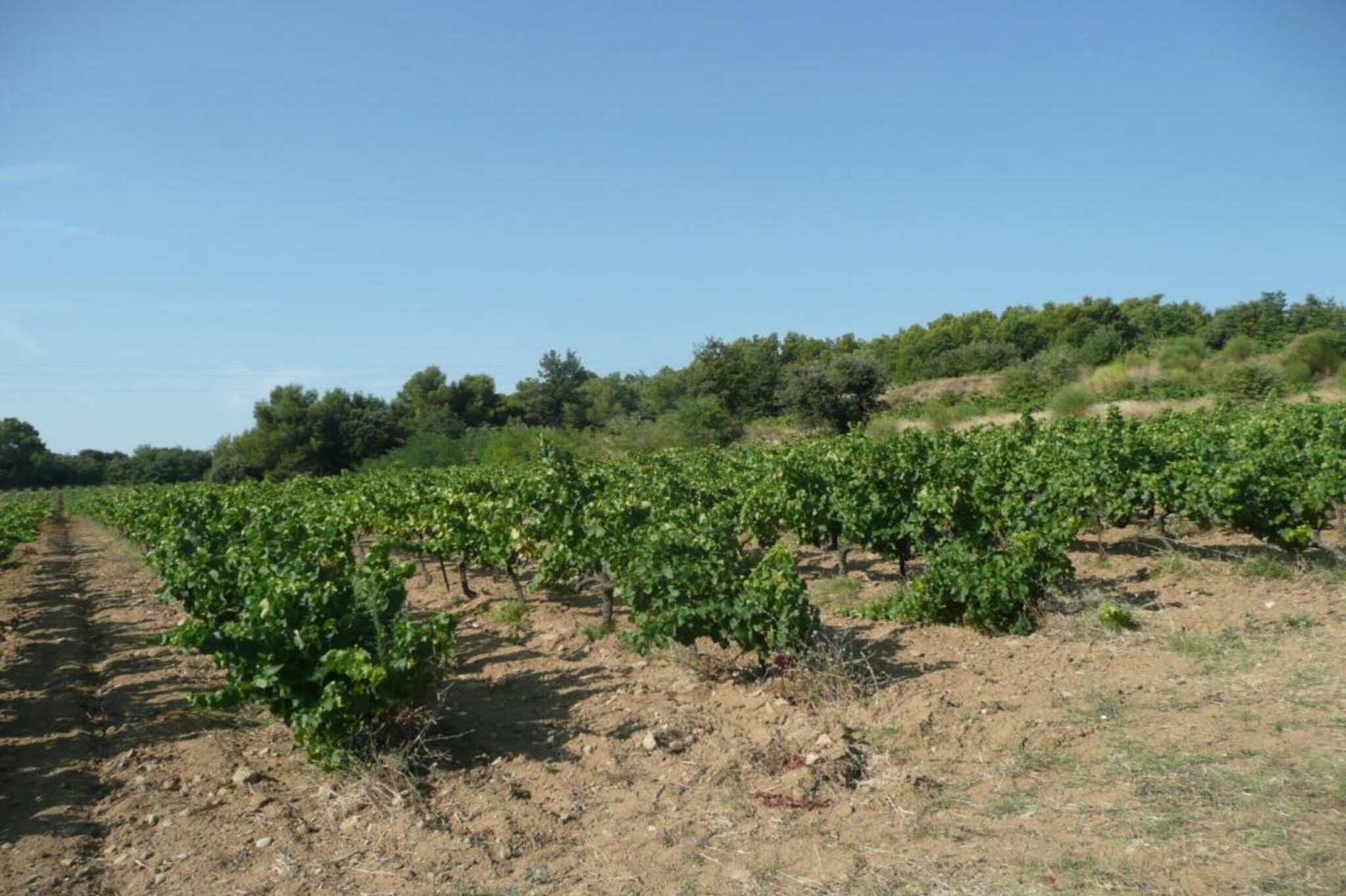 Appartement Geny Avignon-Zones d'été à 20 km