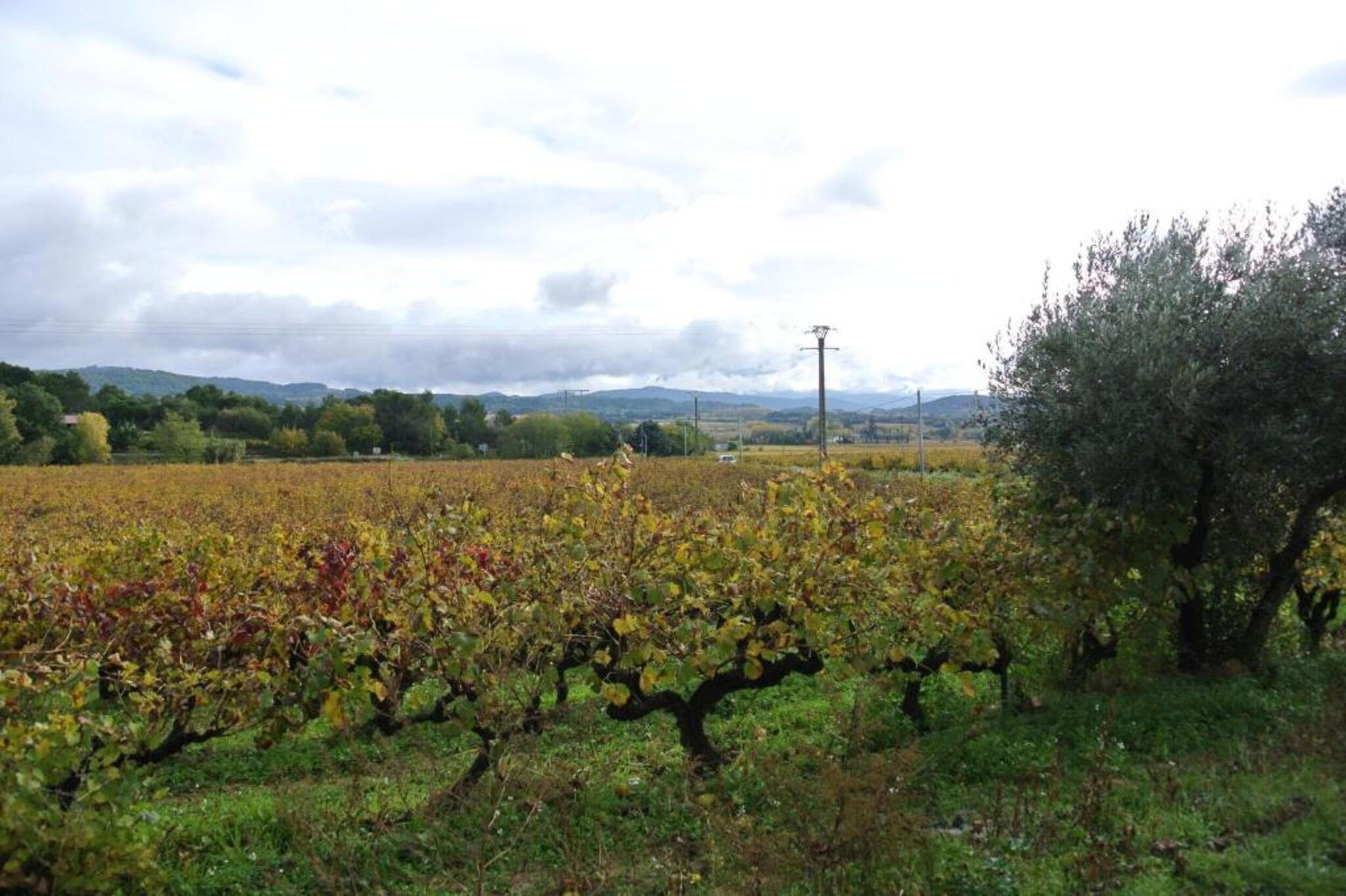 Appartement Geny Avignon-Zones d'été à 20 km