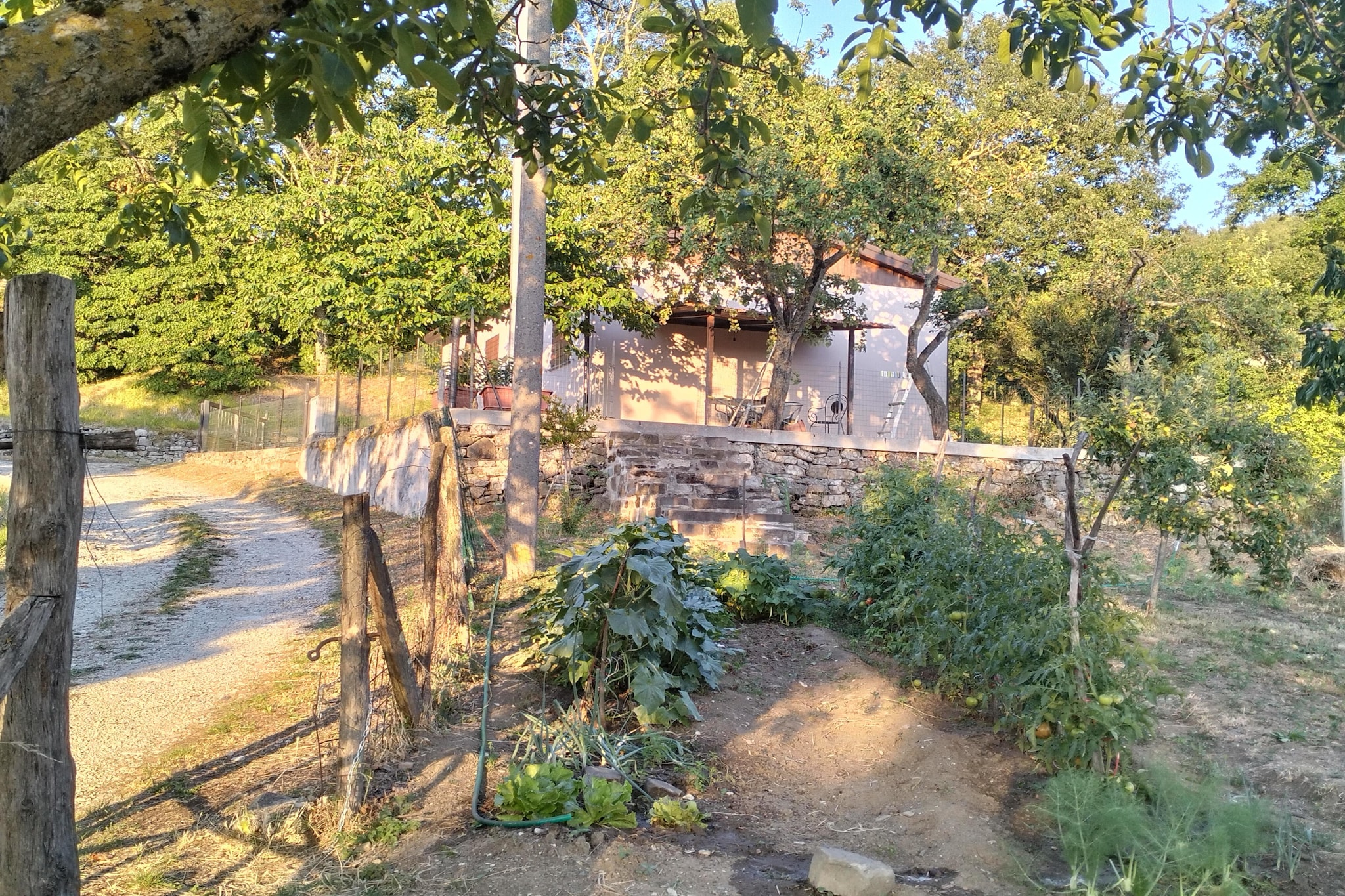 Casa Andrea - Areas within 1km in summer