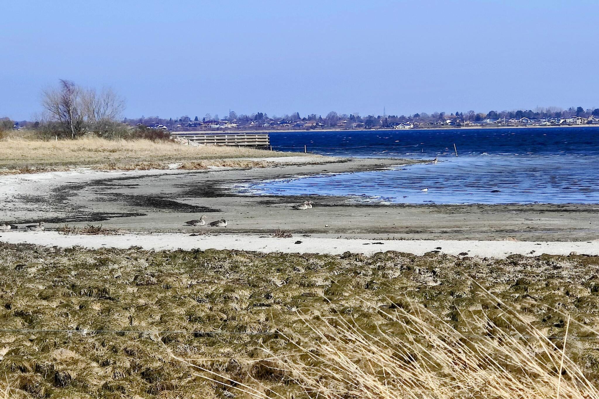 4 person holiday home in Skibby-Water view