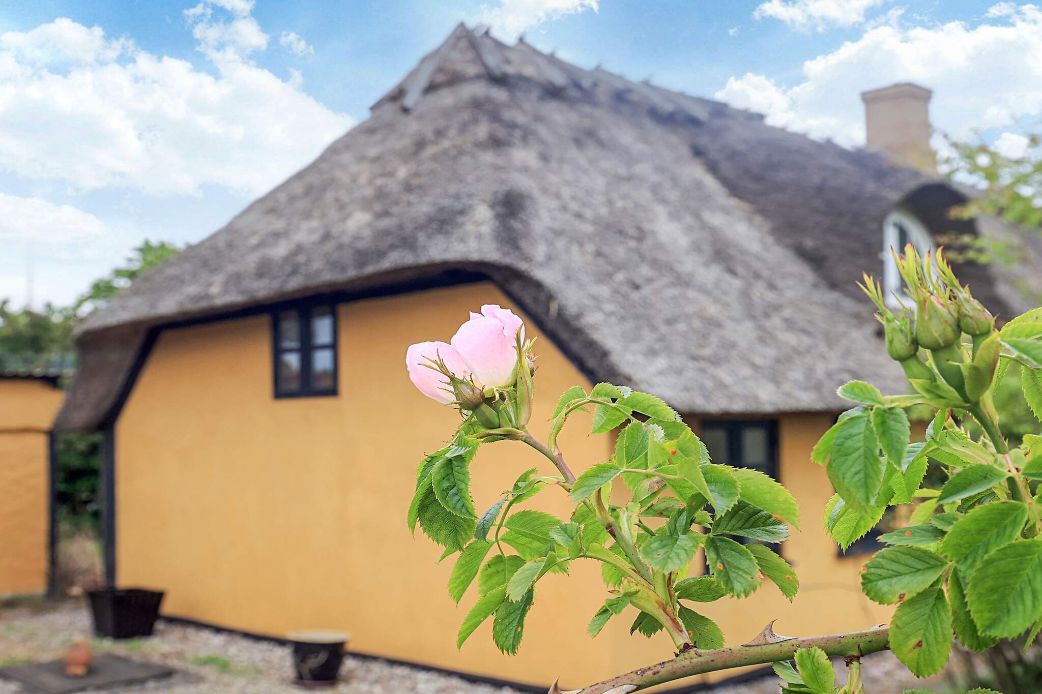 6 persoons vakantie huis in Rudkøbing