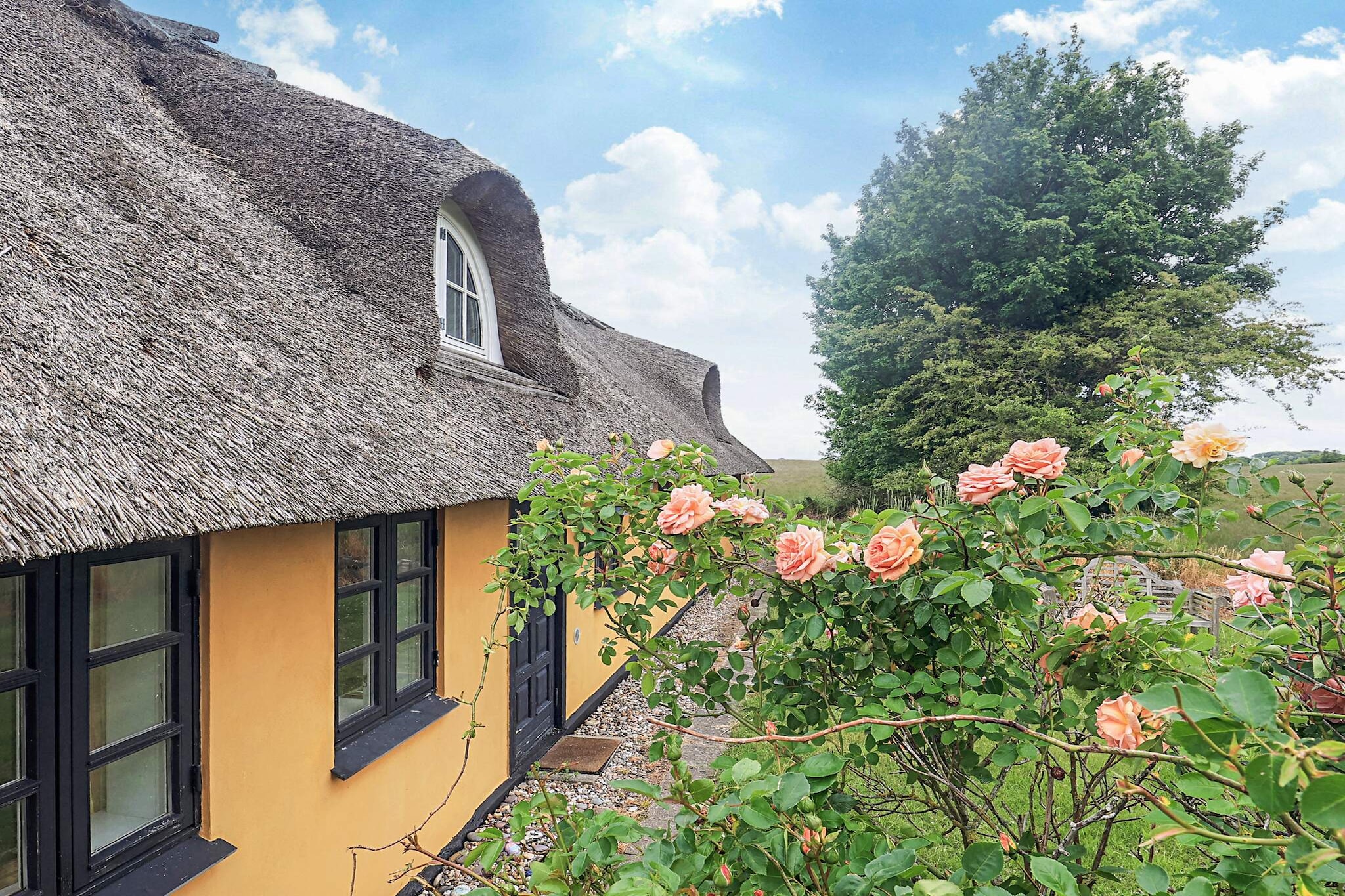 6 Personen Ferienhaus in Rudkøbing - Aussicht