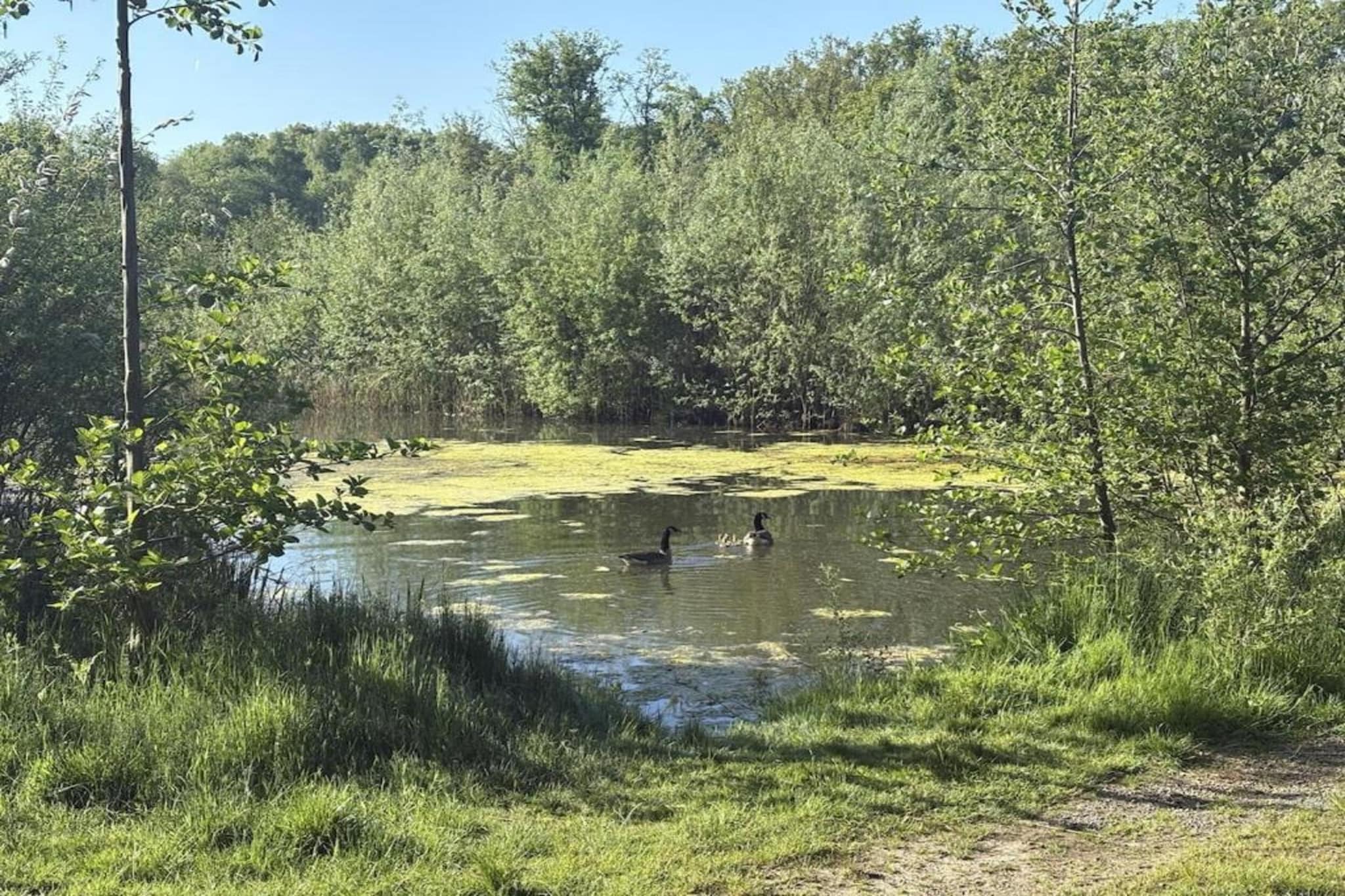 Holidee-Gebieden zomer 20km