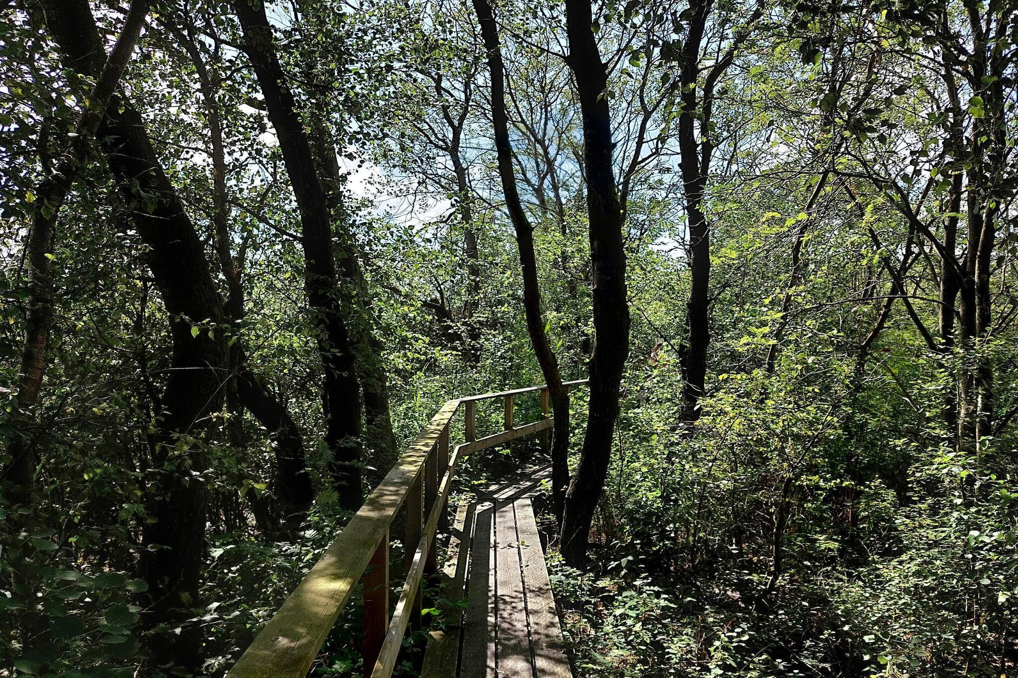 6 persoons vakantie huis in Bredebro-Niet-getagd