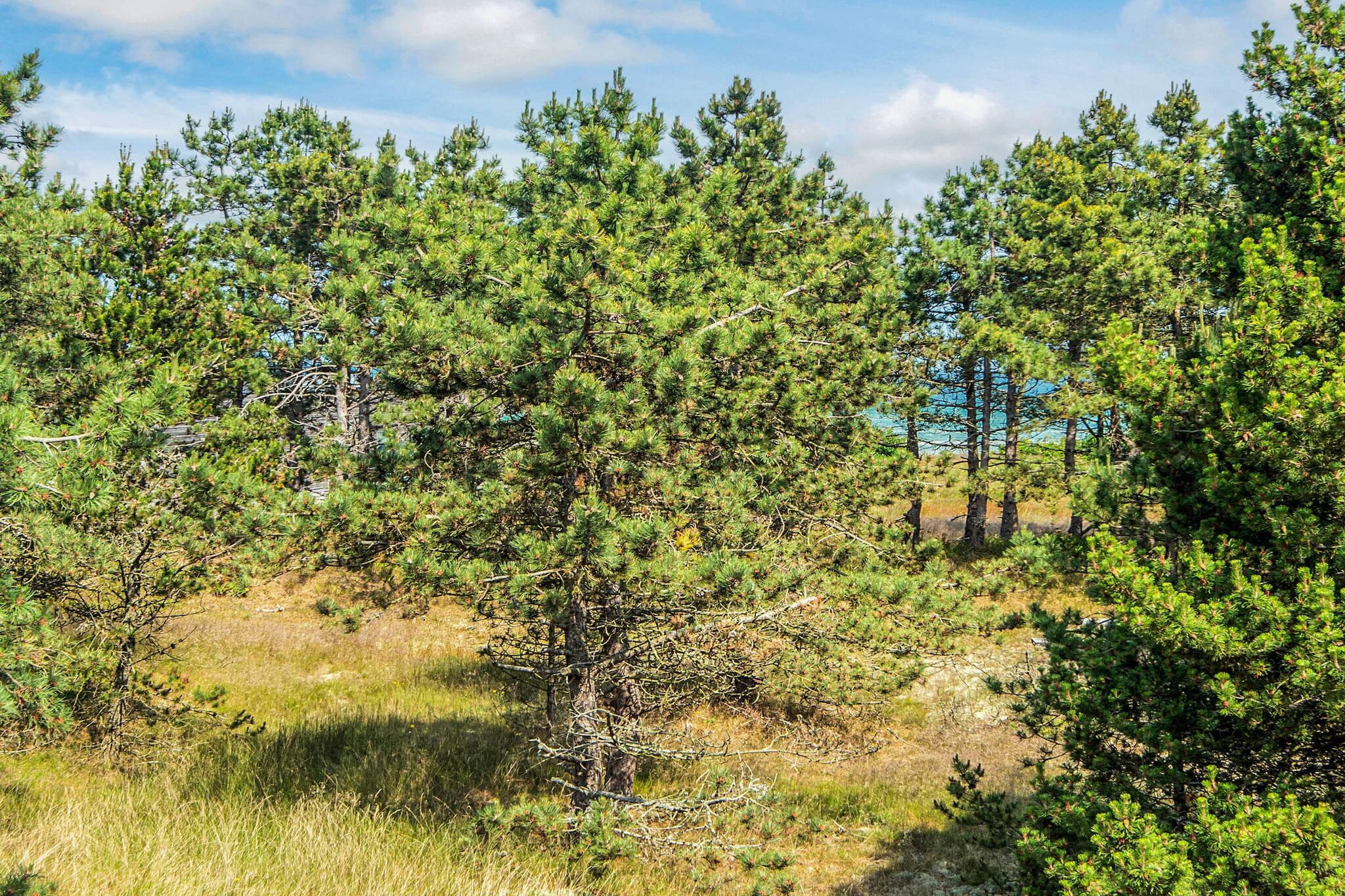 Kustsereniteit in Fjellerup-By Traum - Uitzicht