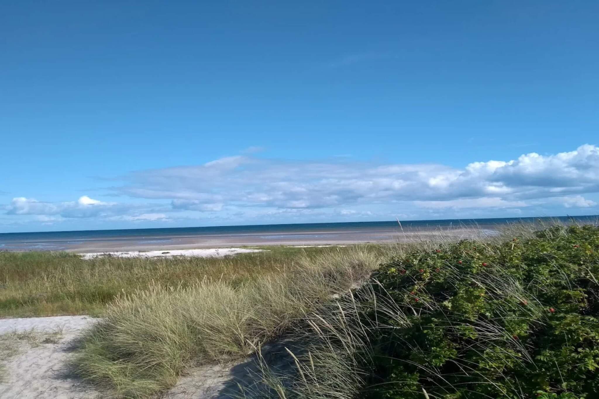 6 persoons vakantie huis in Hadsund - Waterzicht