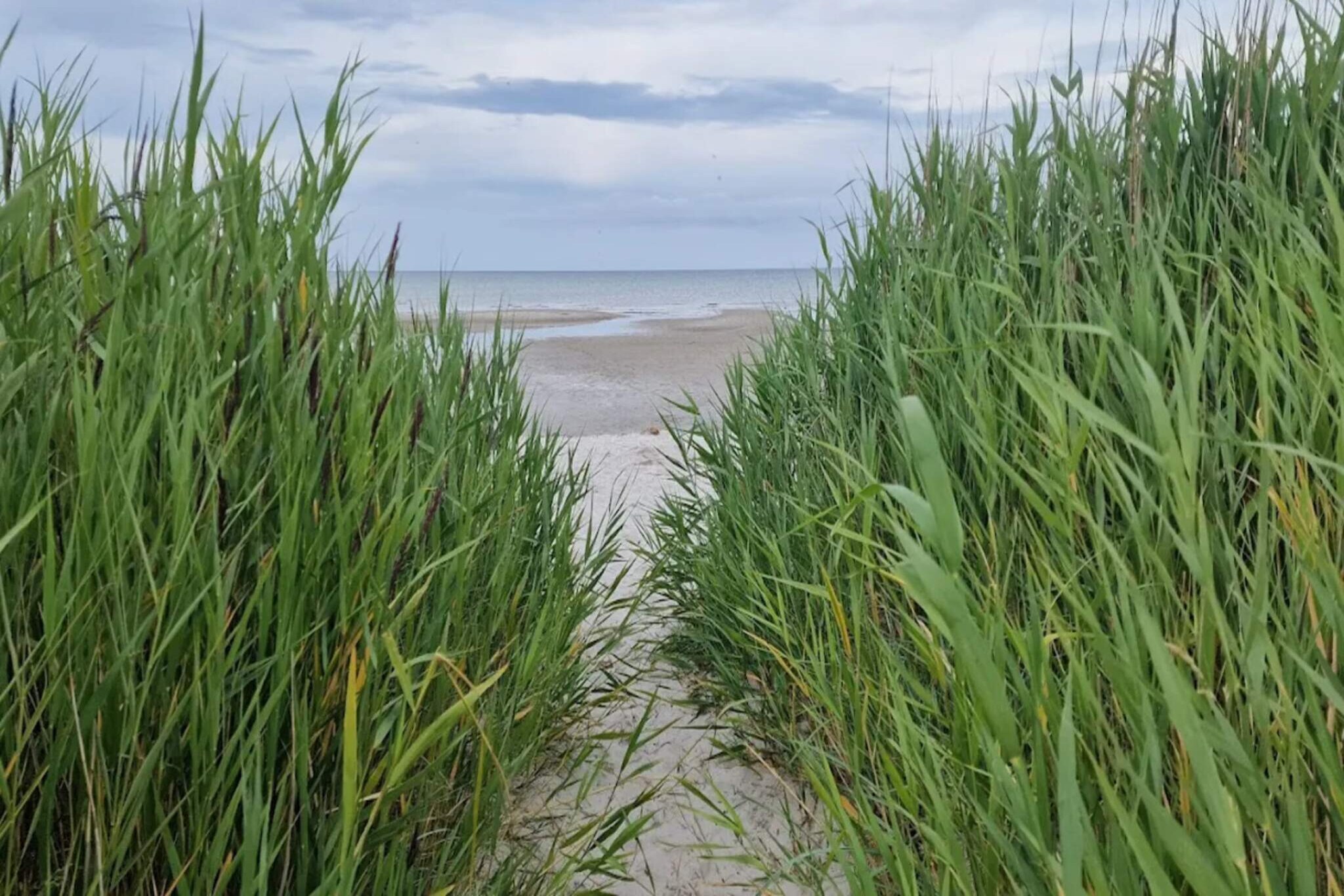 6 Personen Ferienhaus in Hadsund - Wasserblick