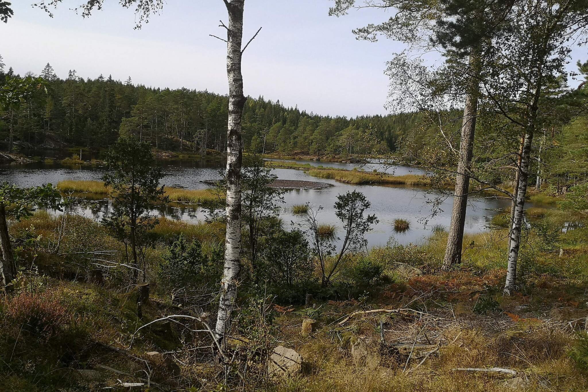 4 person holiday home in Brålanda - Water view