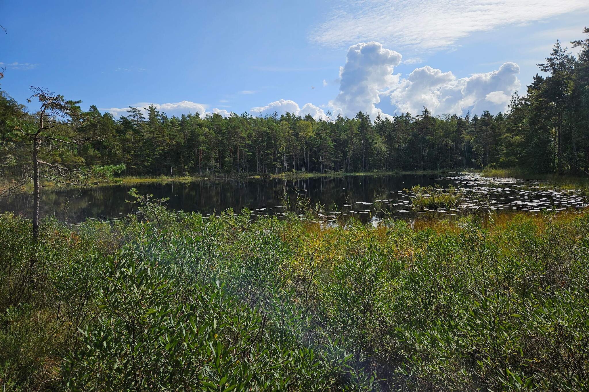 4 person holiday home in Brålanda - Water view
