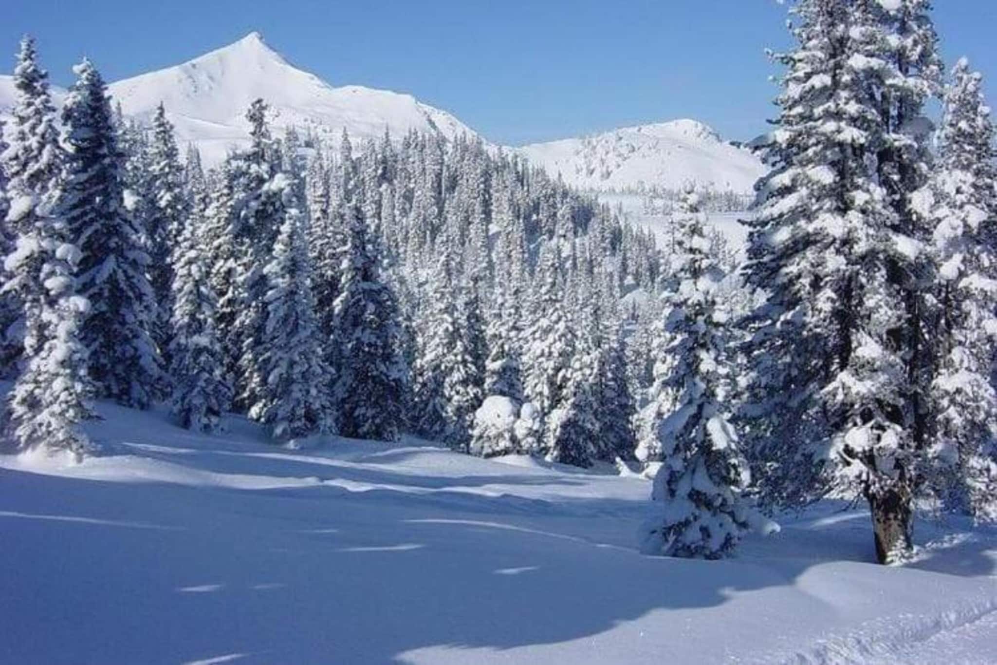 Medebach-Gebied winter 5km