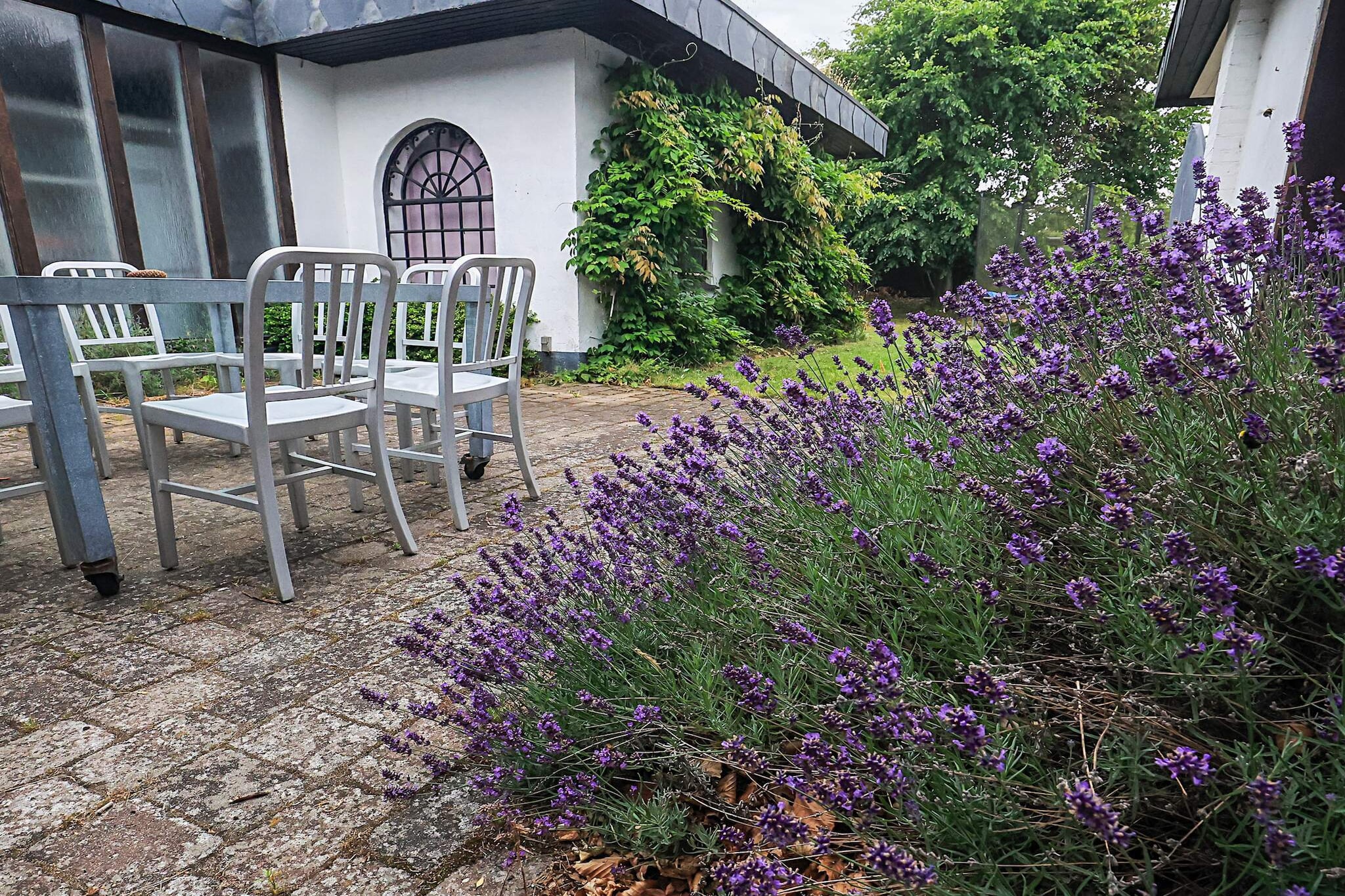 16 persoons vakantie huis in Væggerløse-Uitzicht