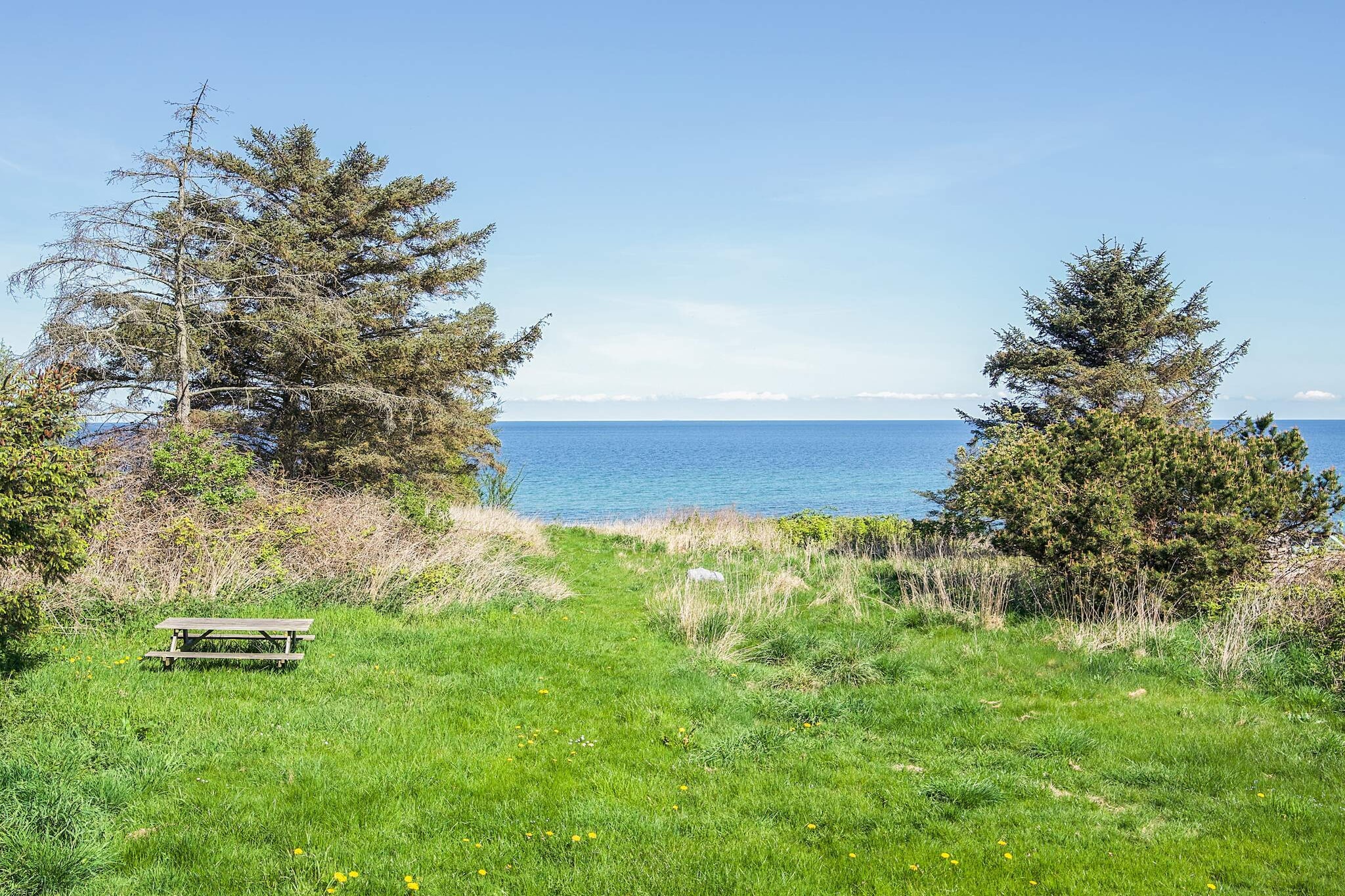 Water View