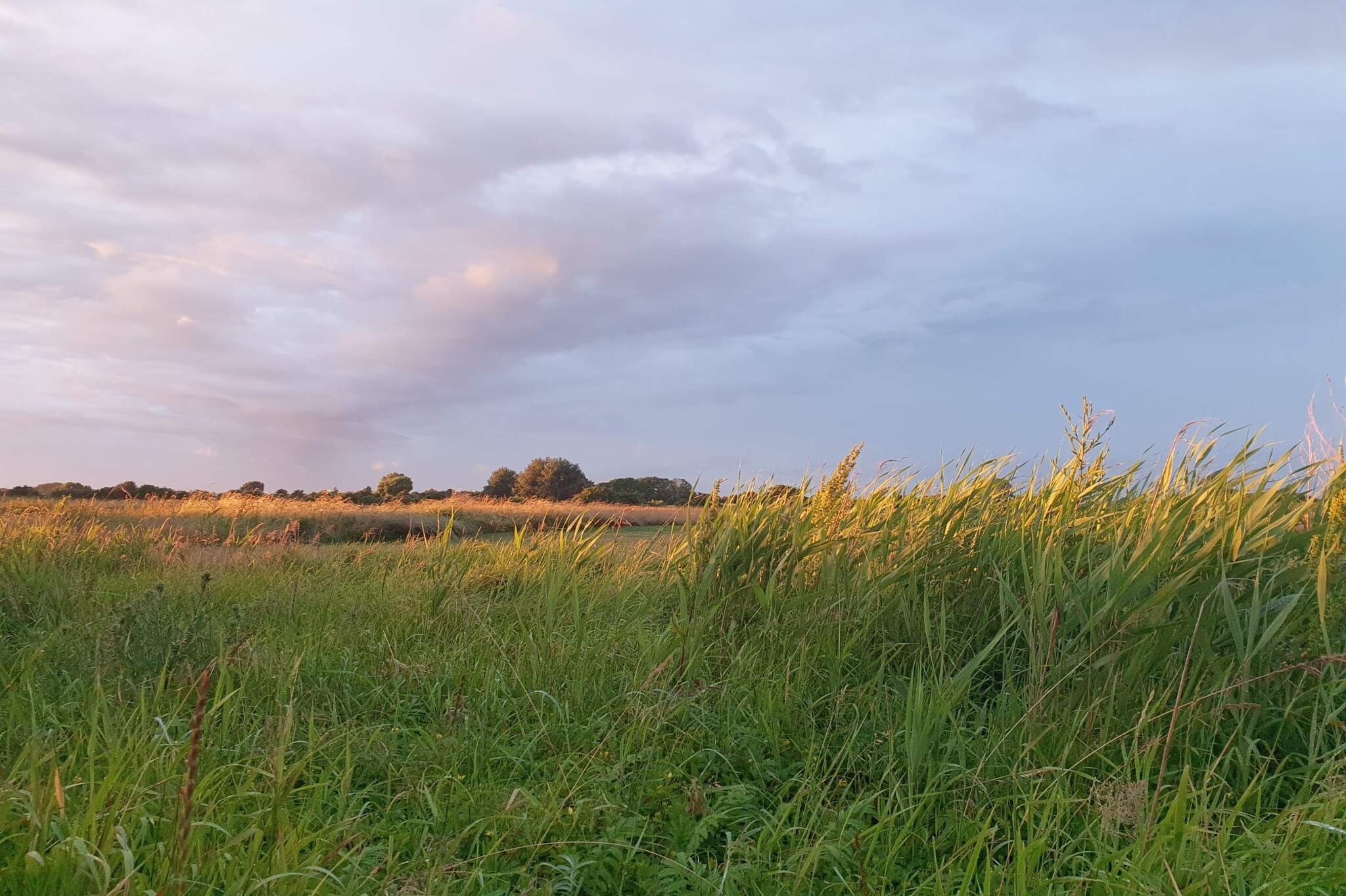 Zeezijde Cottage met Sauna-By Traum-Niet-getagd