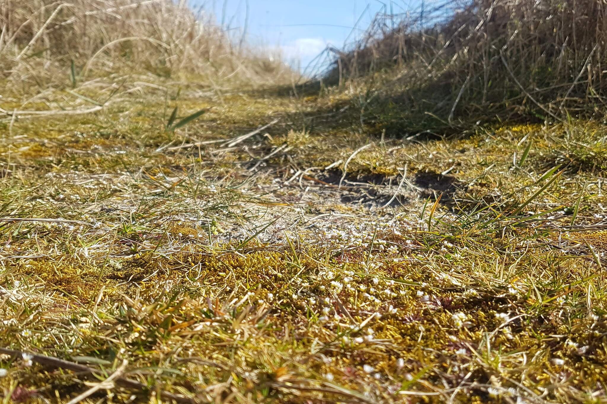 Zeezijde Cottage met Sauna-By Traum-Niet-getagd