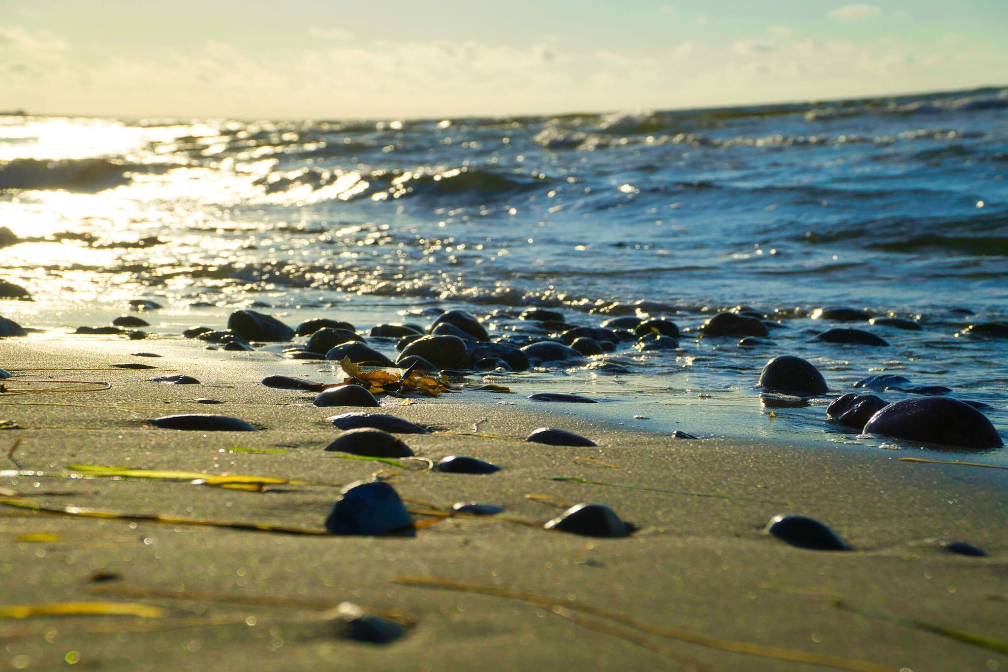 Zeezijde Cottage met Sauna-By Traum-Waterzicht