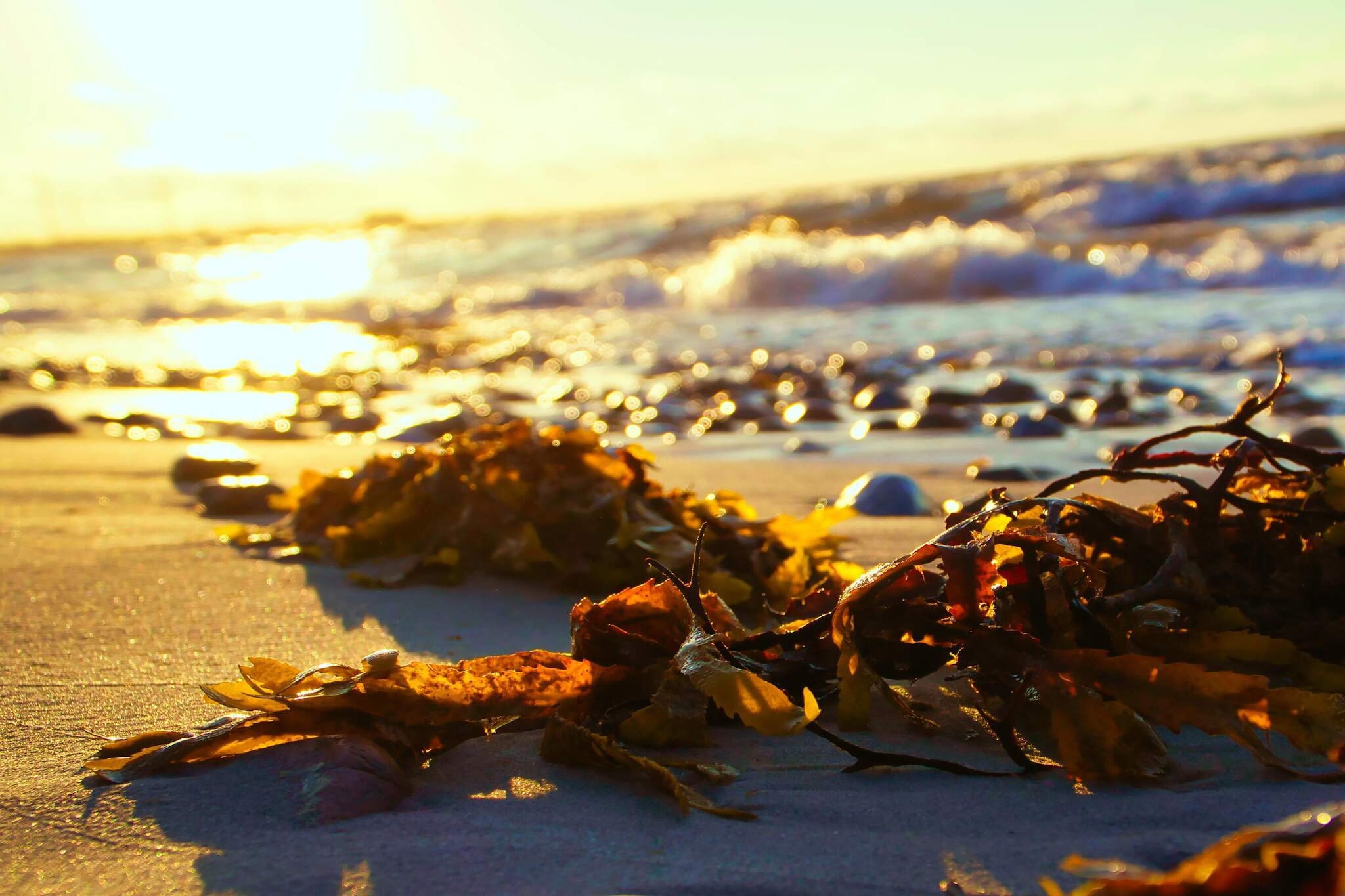Zeezijde Cottage met Sauna-By Traum-Waterzicht