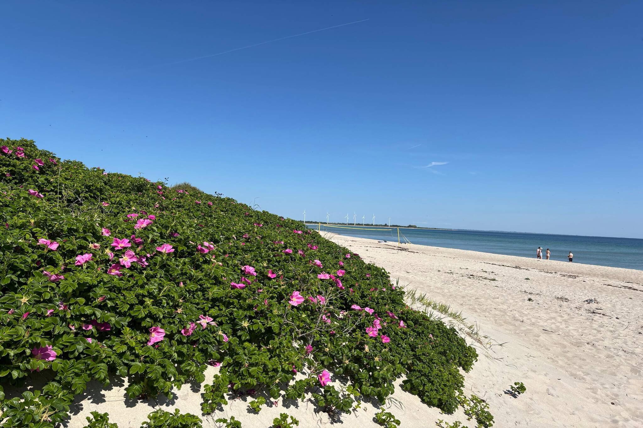 Zeezijde Cottage met Sauna-By Traum-Waterzicht