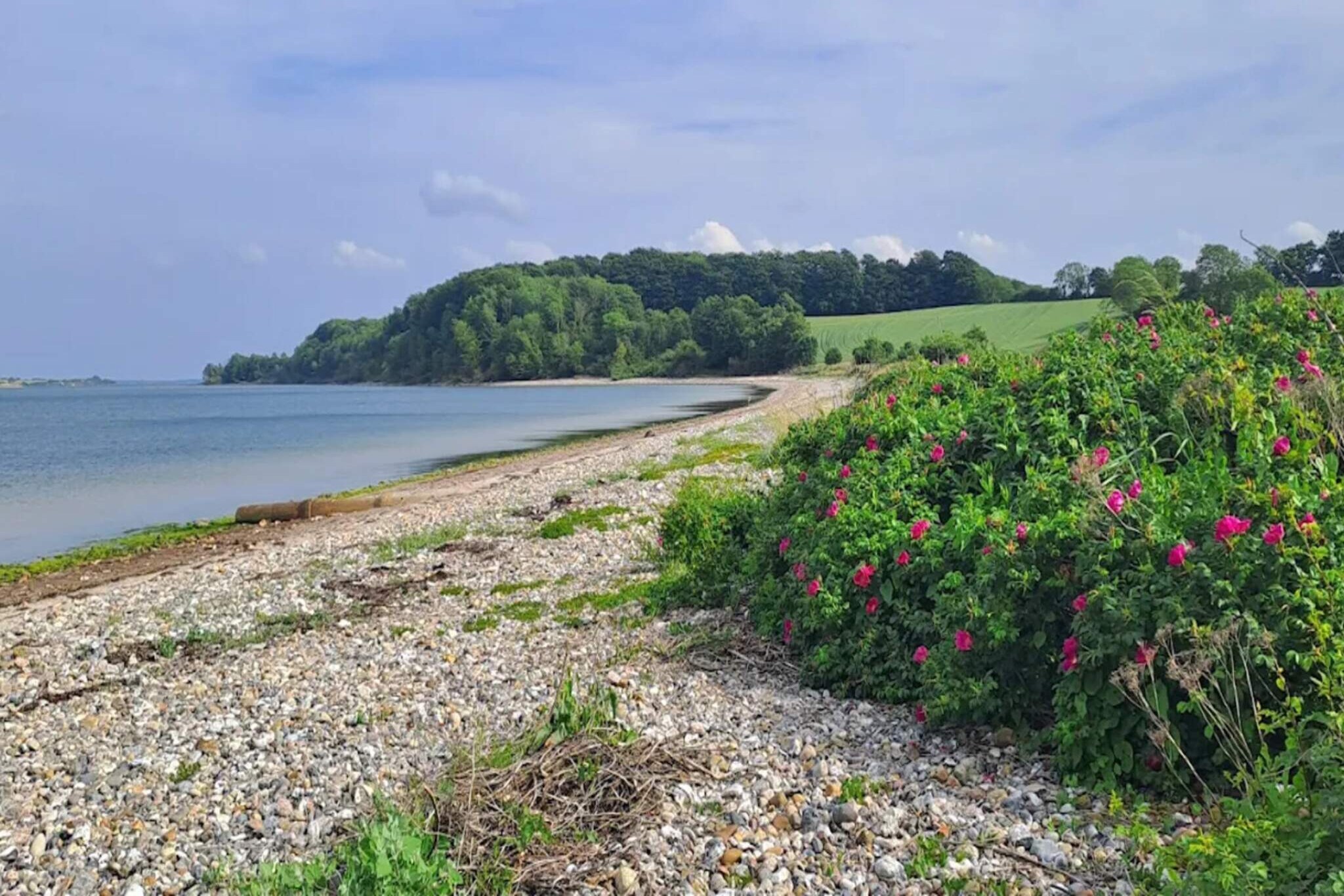 8 persoons vakantie huis in Haderslev-Waterzicht