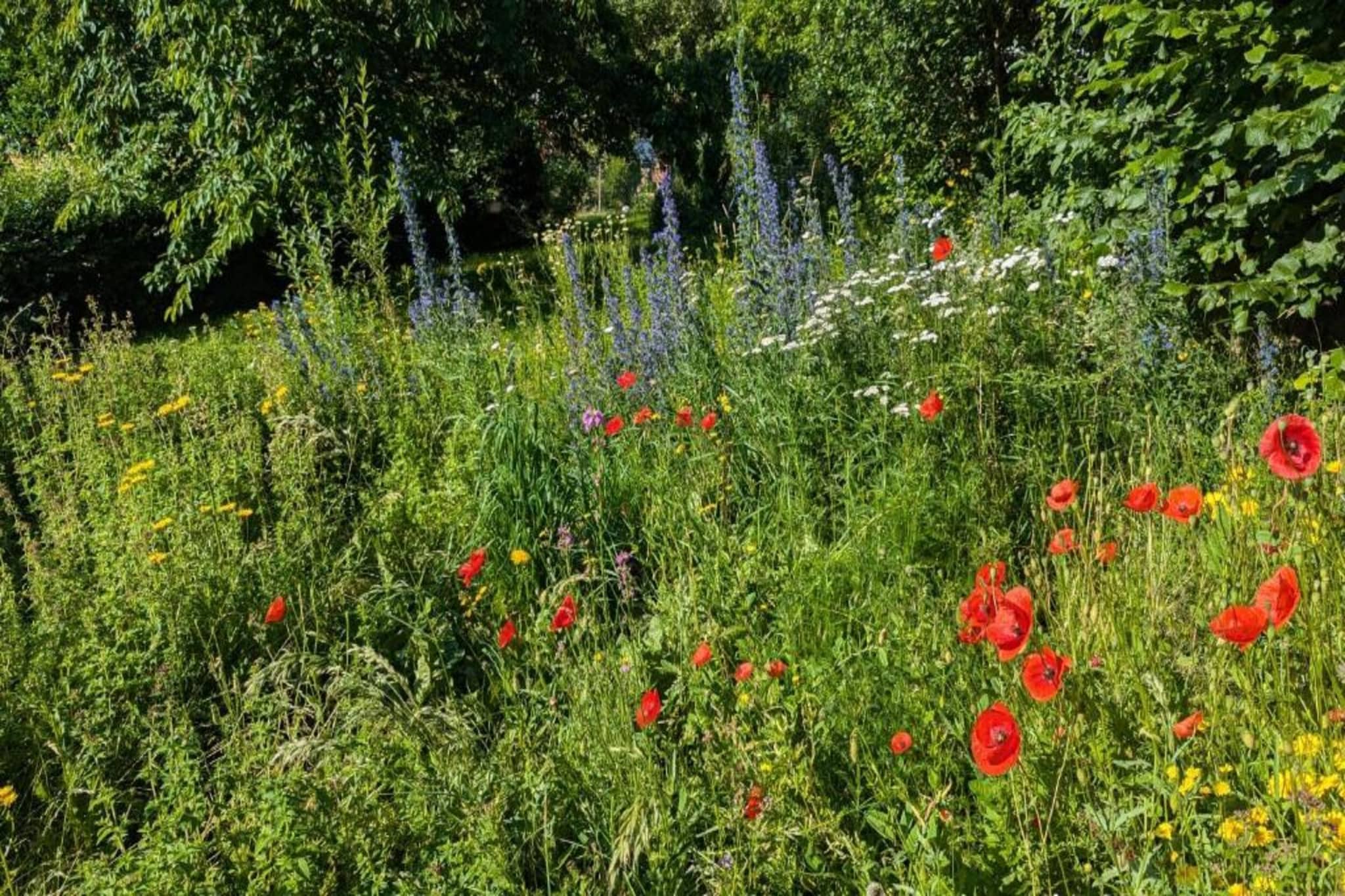 Ferienwohnung Fuldabrück-Gebieden zomer 20km