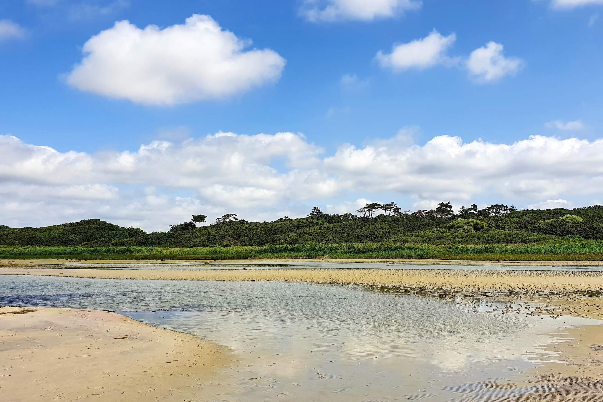Maison de vacances pour 5 a Jægerspris - Vue sur l'eau