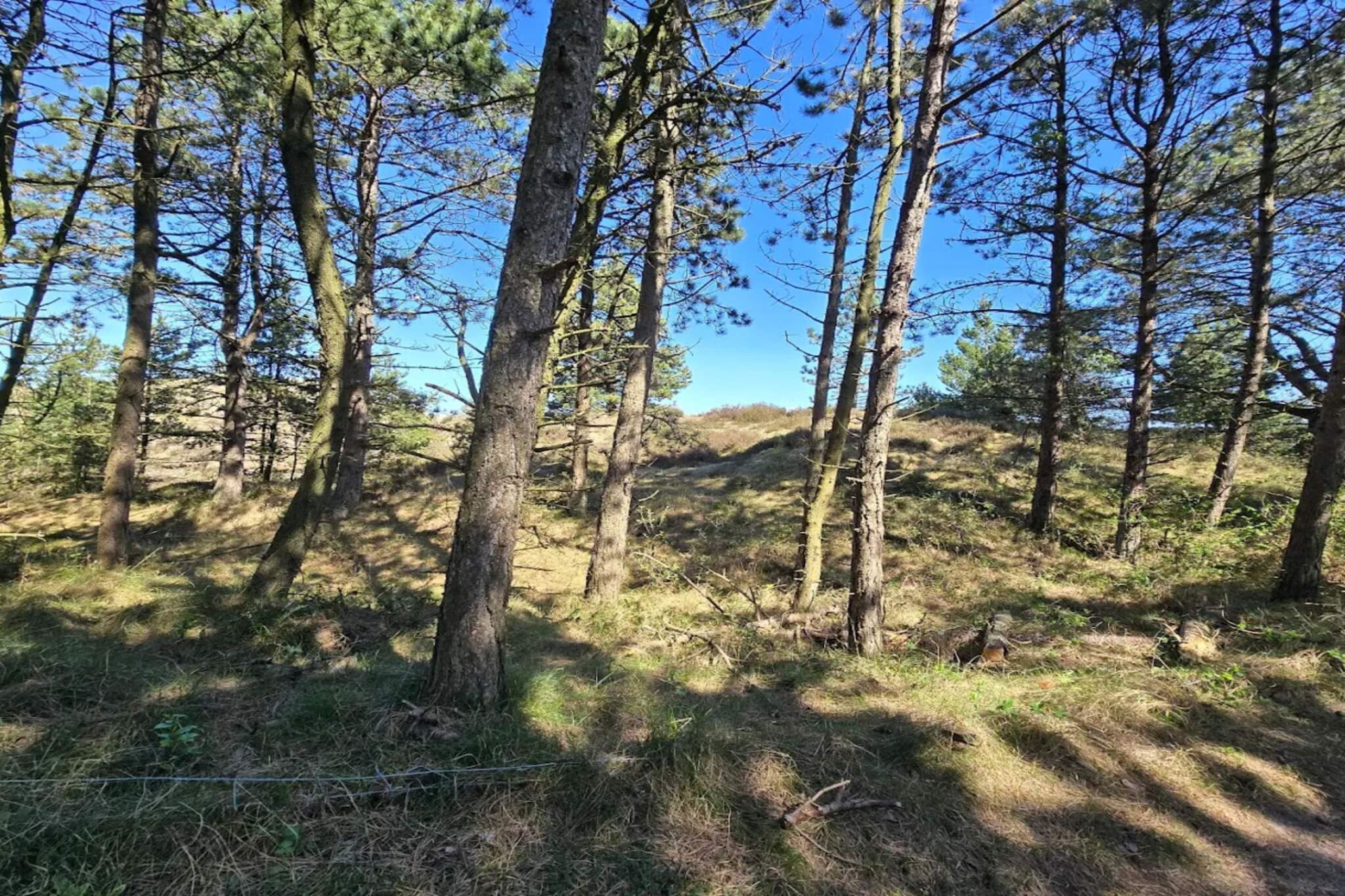 6 persoons vakantie huis in Rømø