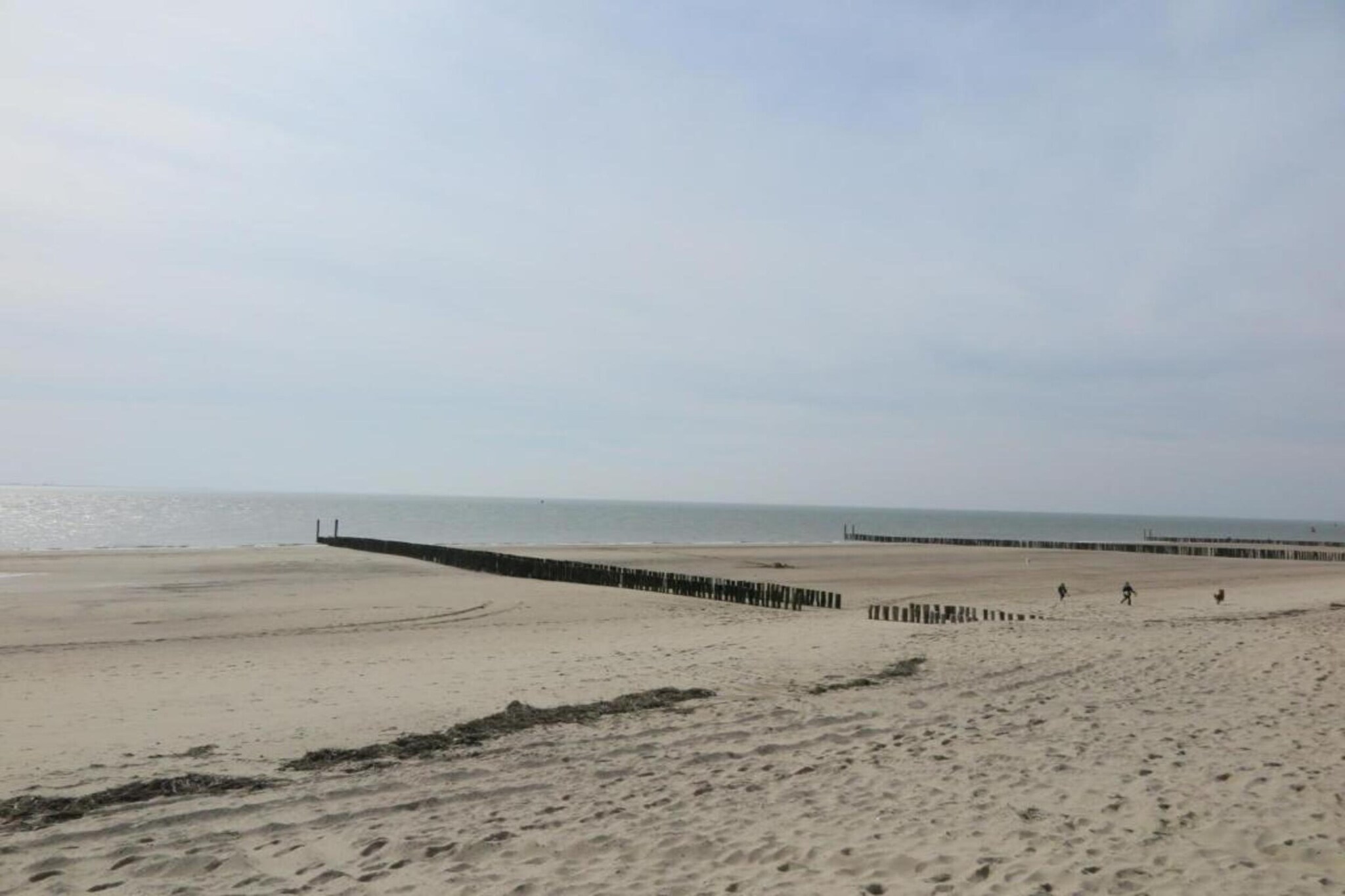 Noordzee Résidence Dishoek 14-Gebieden zomer 5km