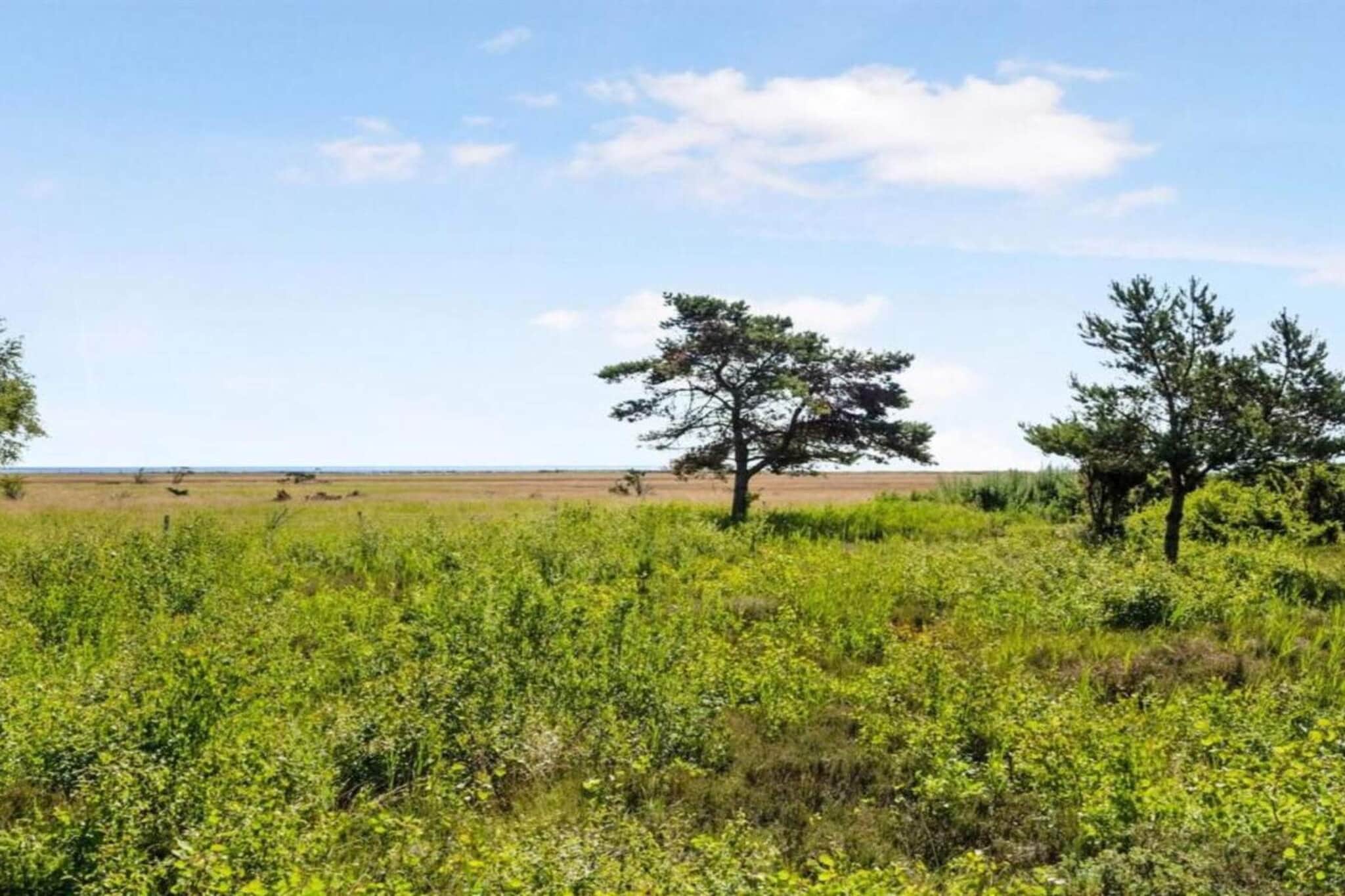 7 persoons vakantie huis in Hadsund-Niet-getagd