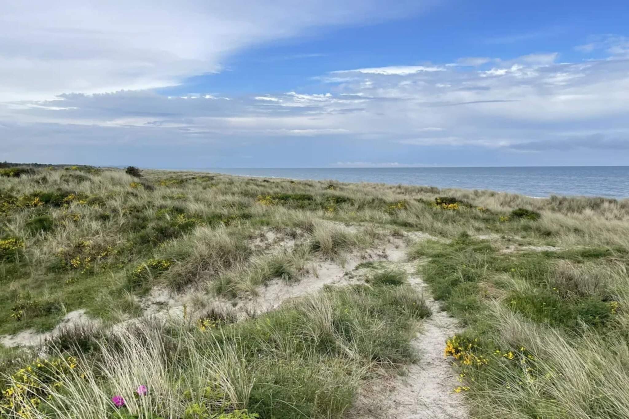 Maison de vacances pour 8 a Hadsund - Non tagué