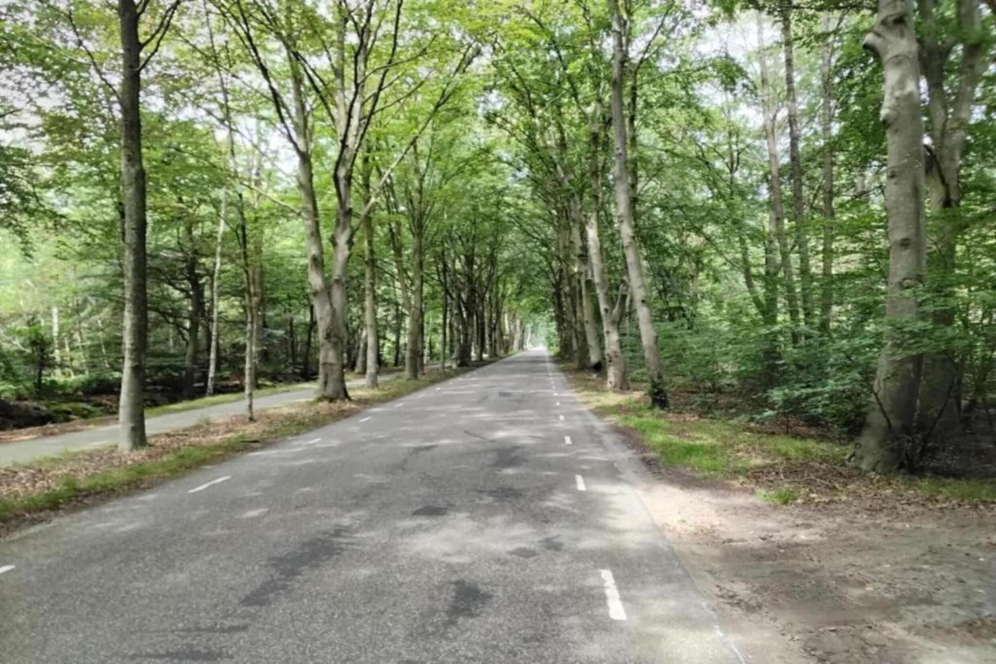 Scharsterlaan 9-Areas summer 20km
