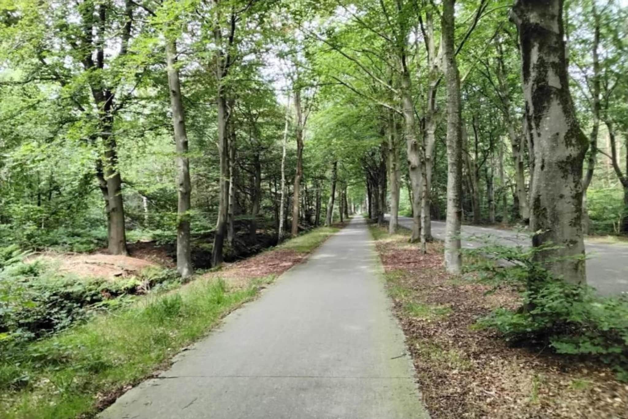 Scharsterlaan 9-Areas summer 20km