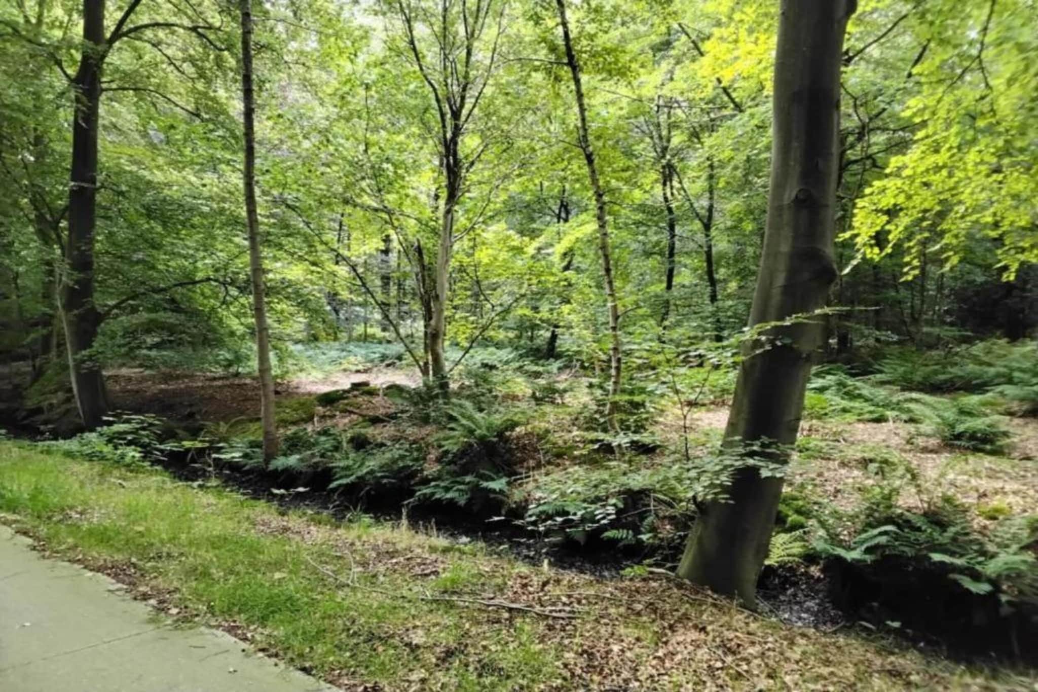 Scharsterlaan 9-Areas summer 20km