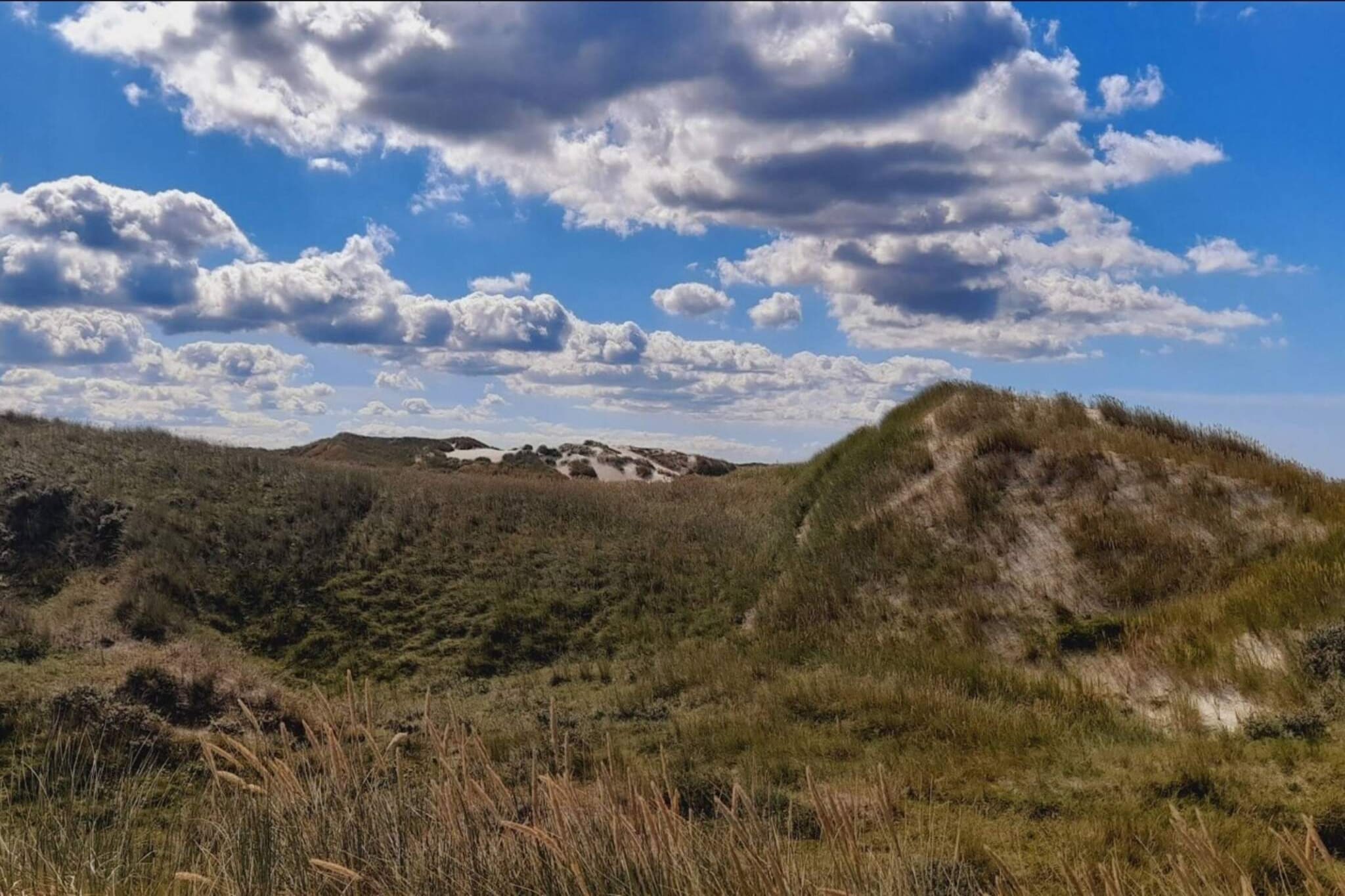 8 person holiday home in Henne