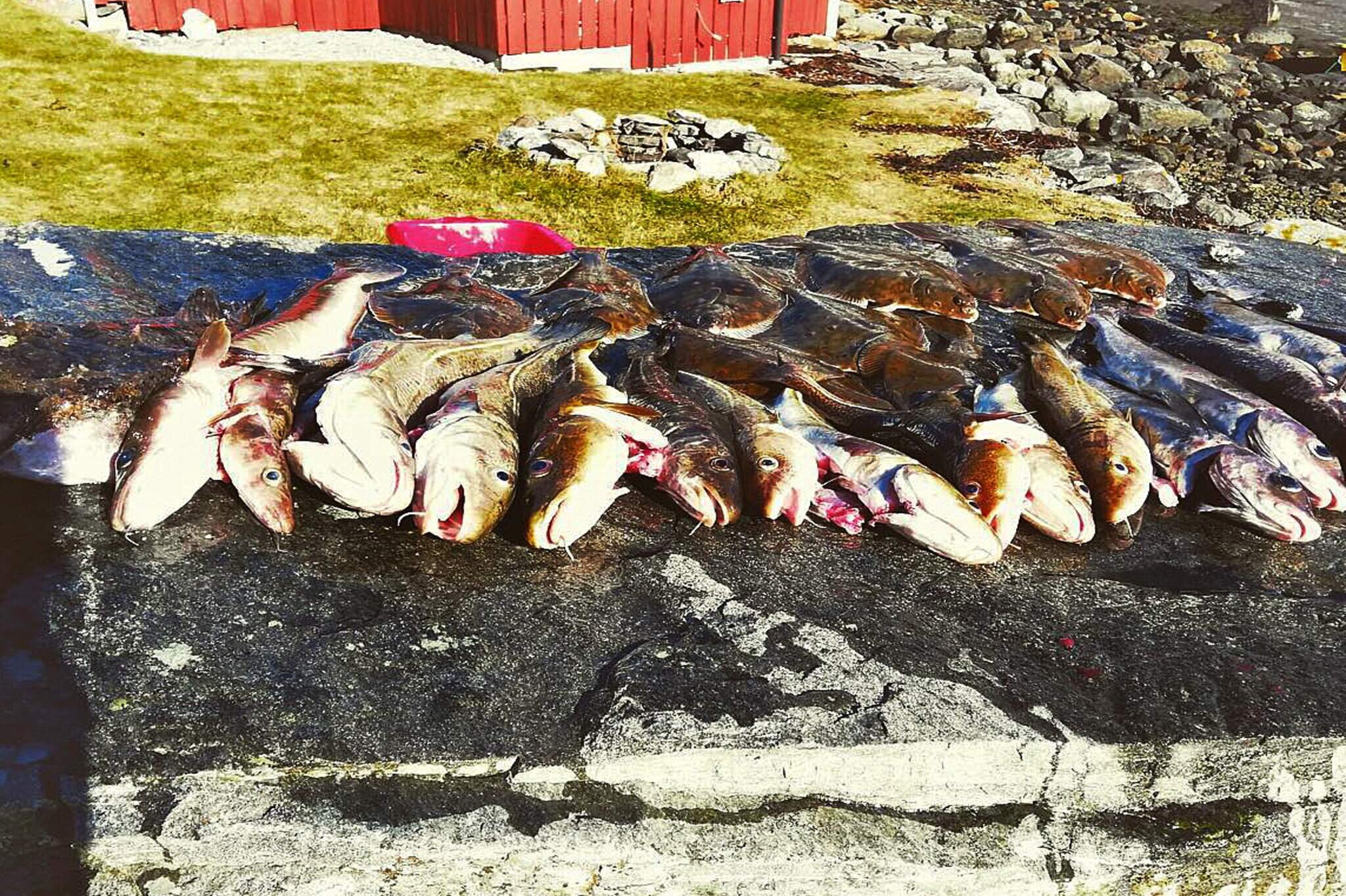 Nordlige Fjord-Norge