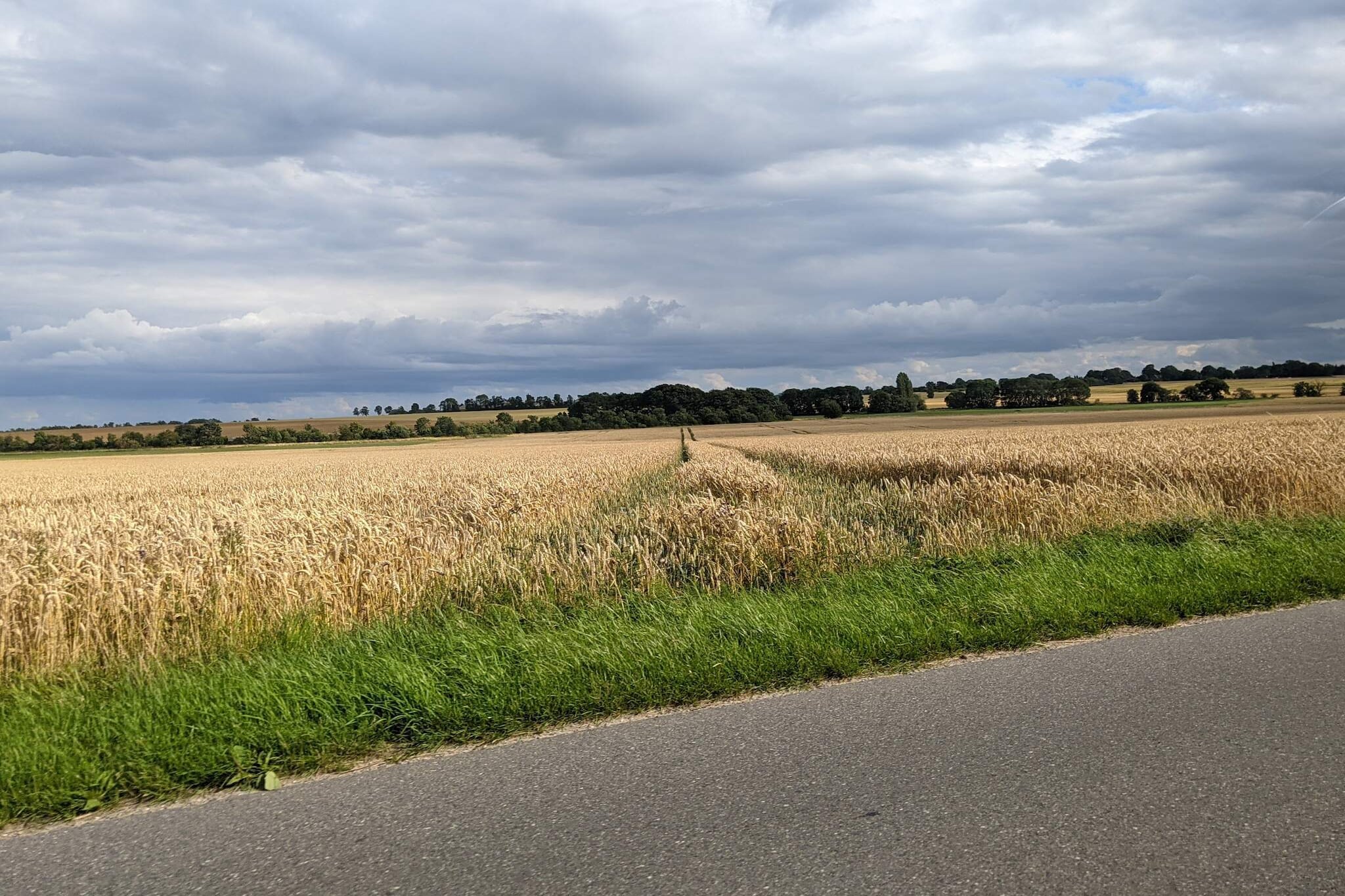 Tranquil Retreat By Traum