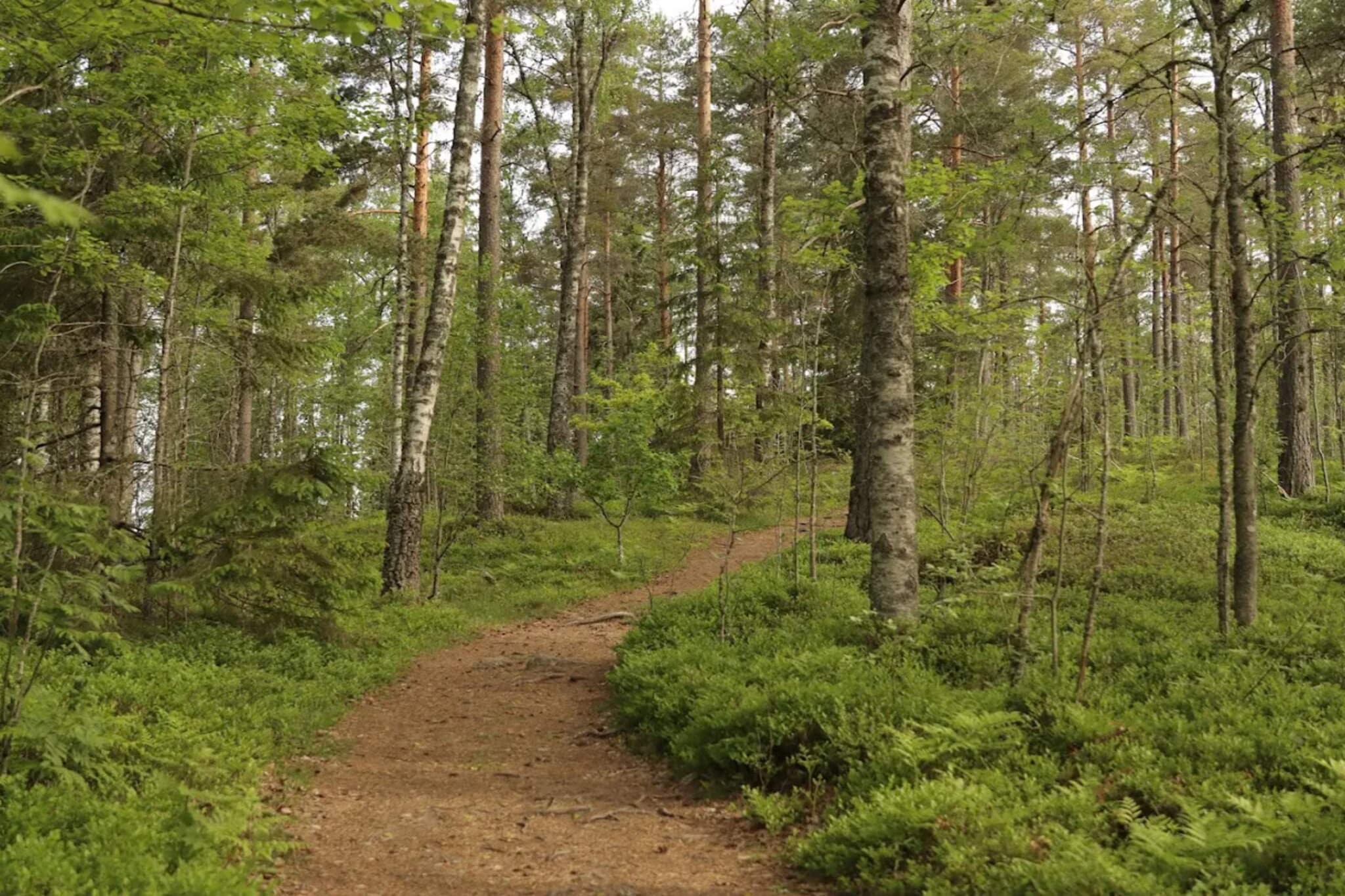 5 persoons vakantie huis in TENHULT/JÖNKÖPING-Niet-getagd