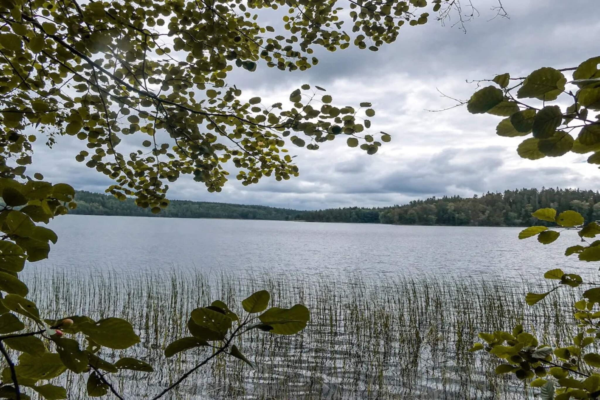5 Personen Ferienhaus in TENHULT/JÖNKÖPING - Wasserblick